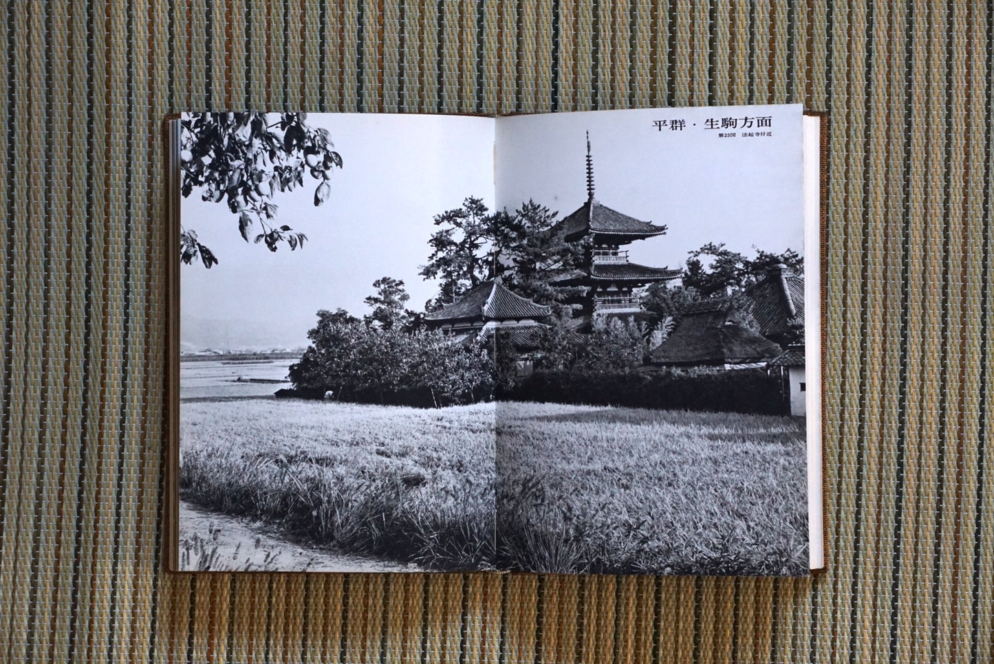 石の奈良 Stone Nara kokiriyama