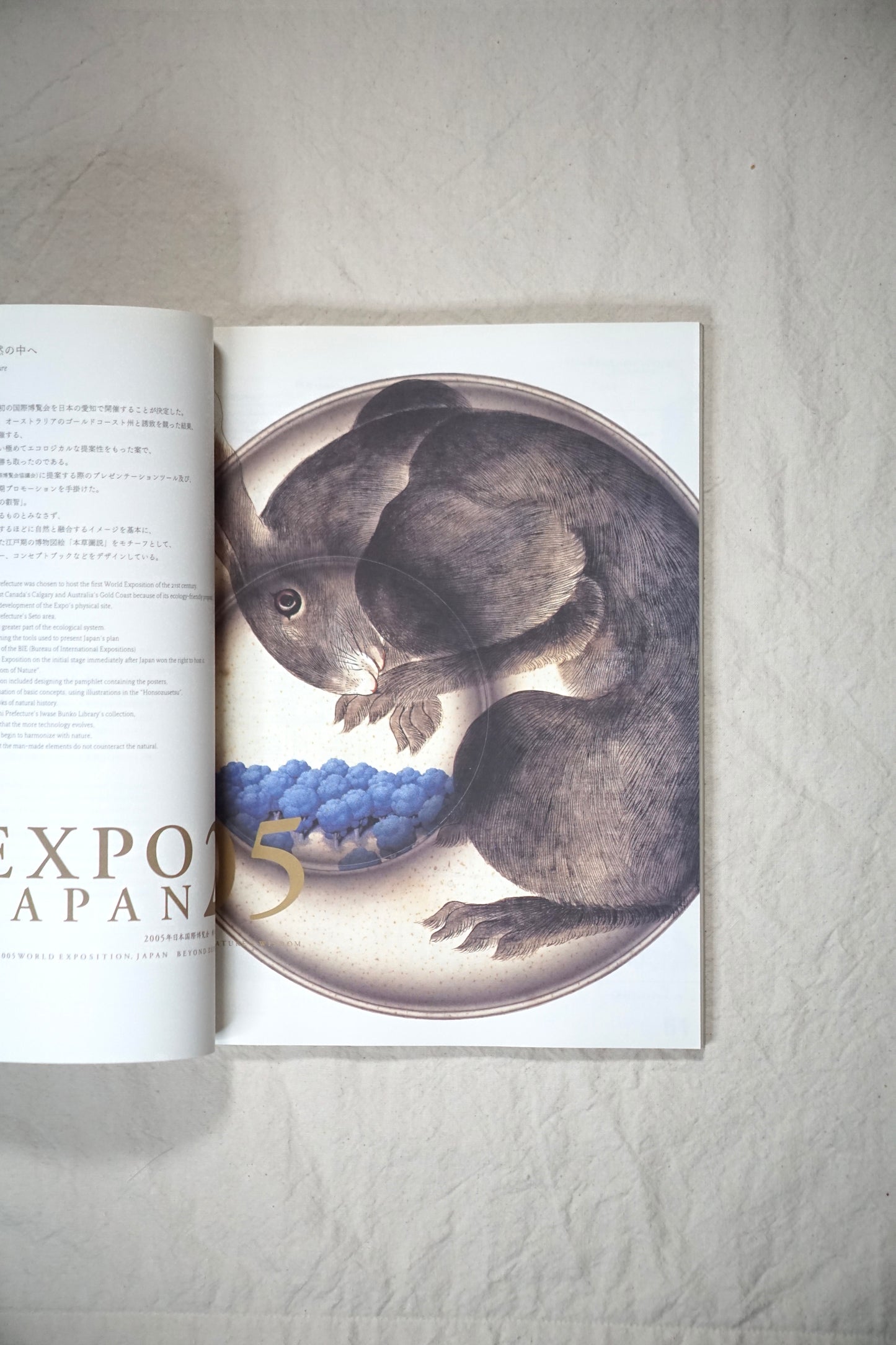 アイデア No.306 2004年9月 < 特集 : 原研哉のデザイン > Idea Design of Kenya Hara kokiriyama