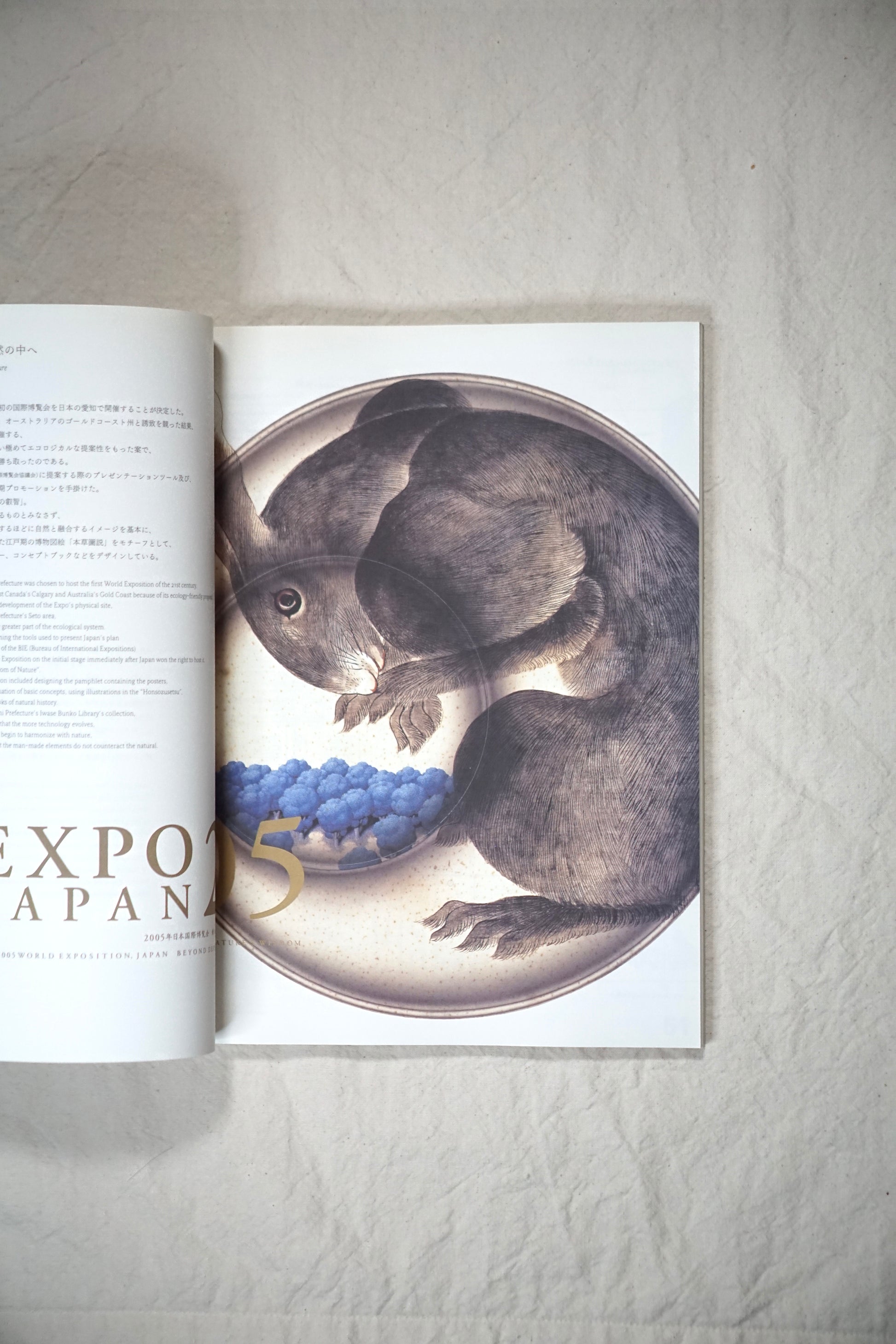 アイデア No.306 2004年9月 < 特集 : 原研哉のデザイン > Idea Design of Kenya Hara kokiriyama