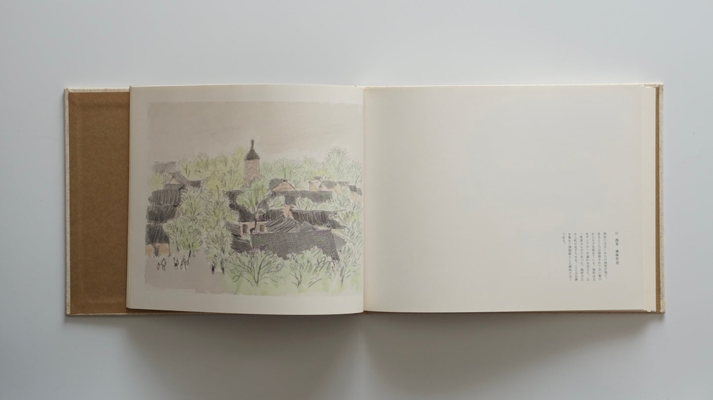 中国の市場 北京 大同 洛陽 西安The Markets of China: Beijing, Datong, Luoyang, Xi’an Mitsumasa Anno kokiriyama