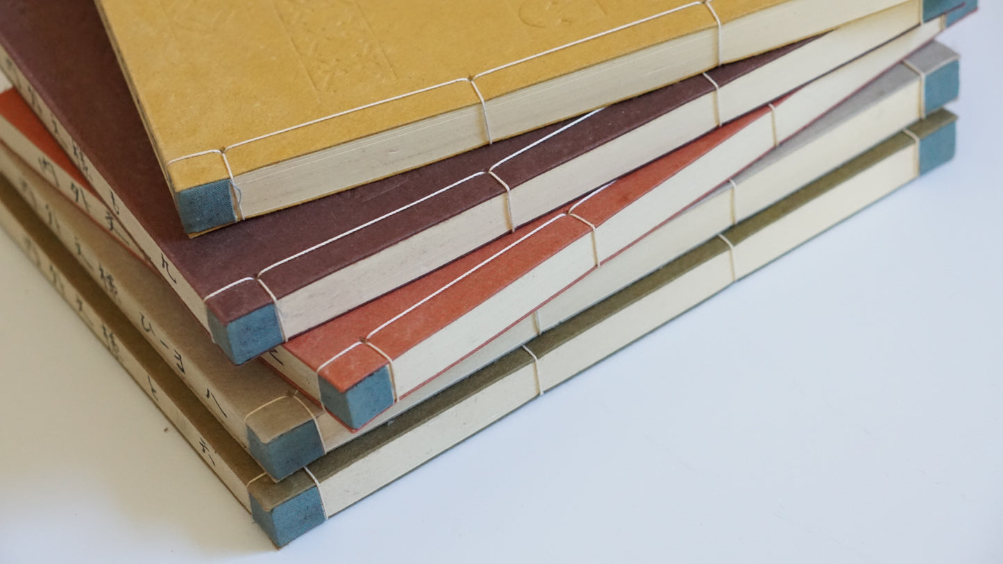 內外文樣類集 全10冊 Collection of Domestic and Foreign Decorative Patterns kokiriyama