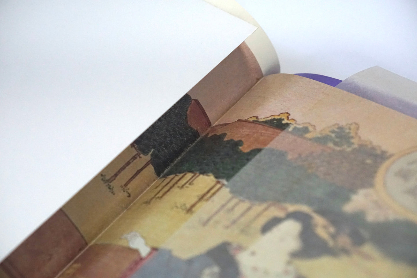 角屋 Kadoya kokiriyama