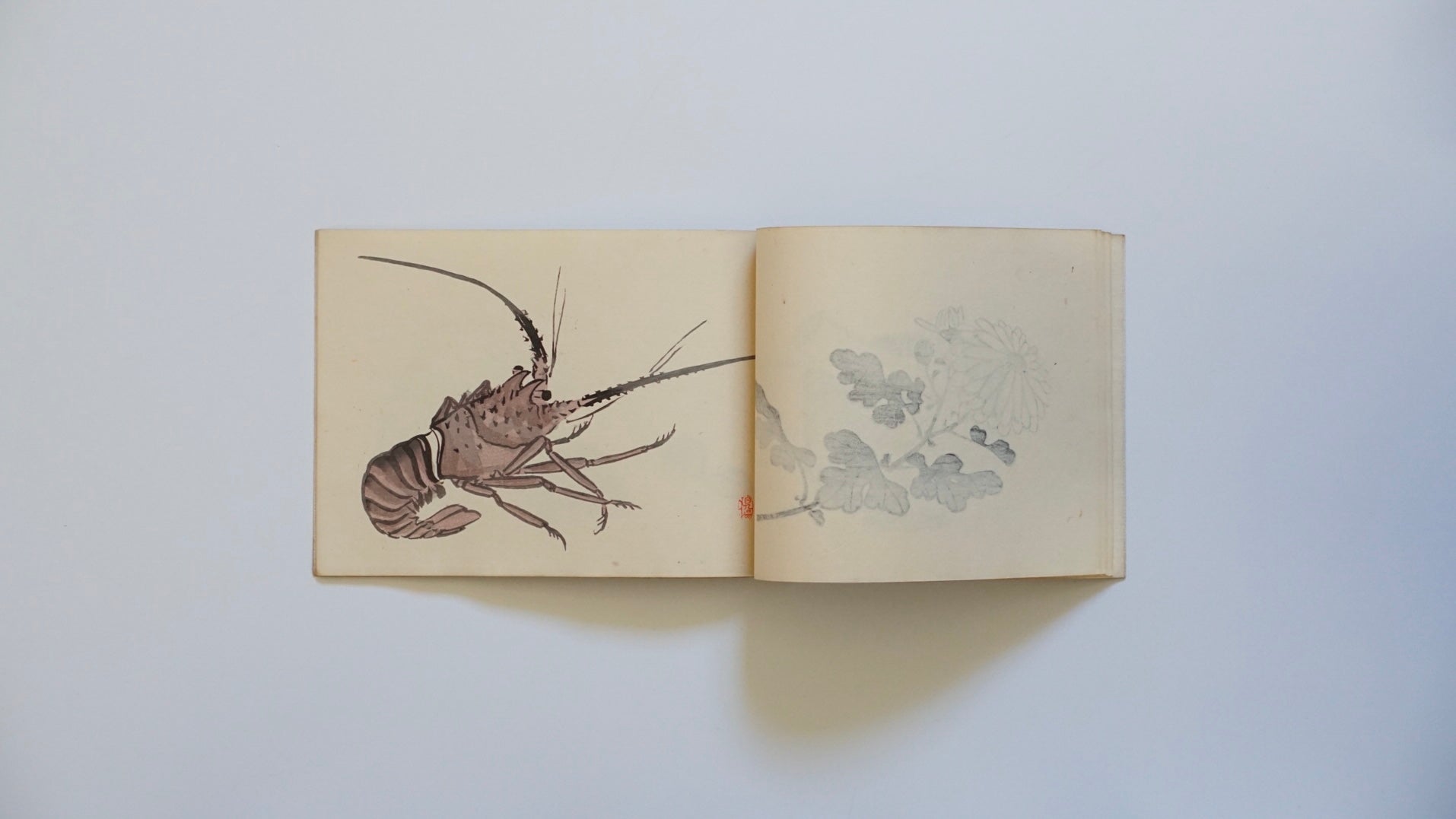 栖鳳習畫帖 全4冊 Seihō’s Painting Studies kokiriyama