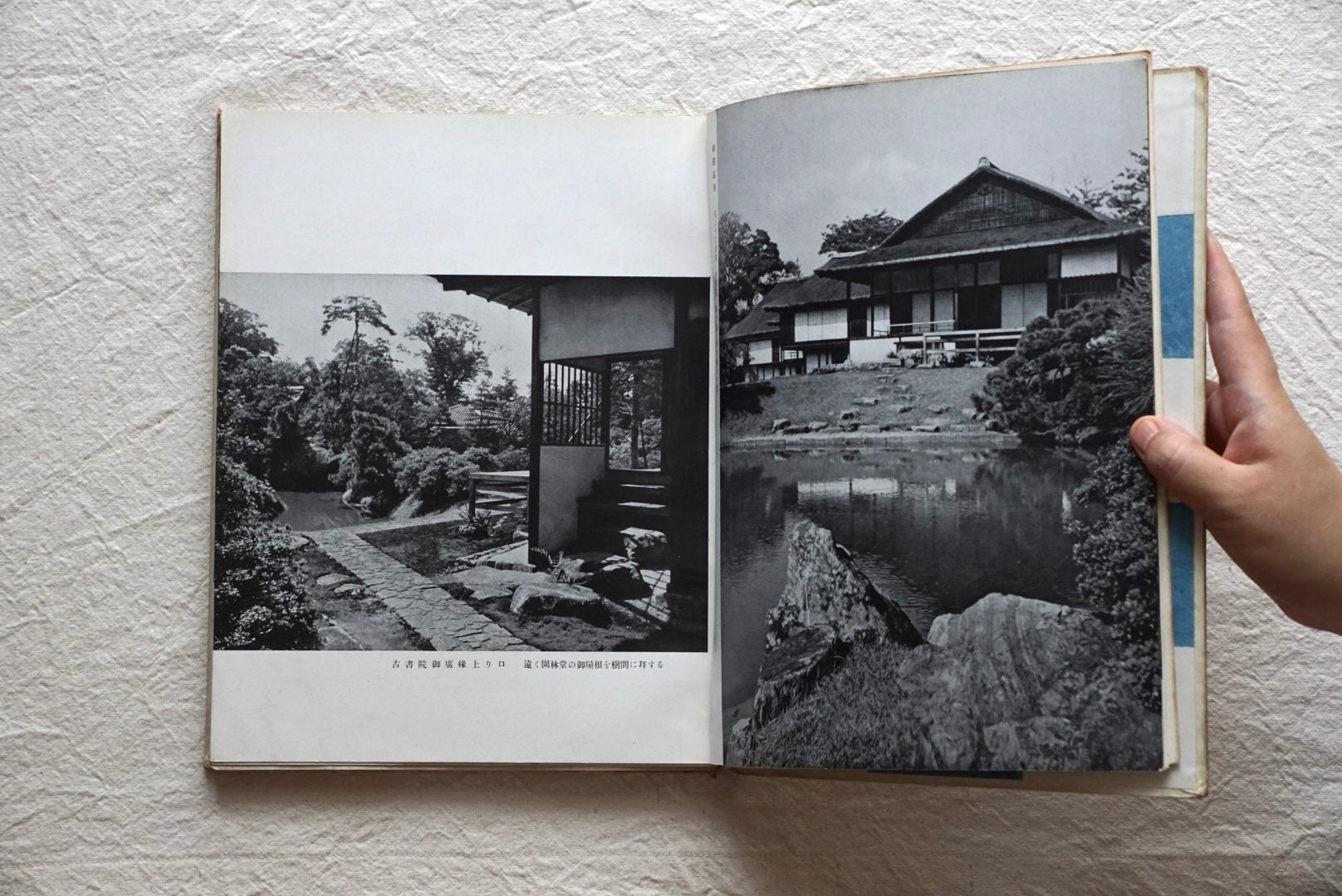 桂離宮 藤島亥治郎 Katsura Imperial Villa Fujishima Kaijiro kokiriyama