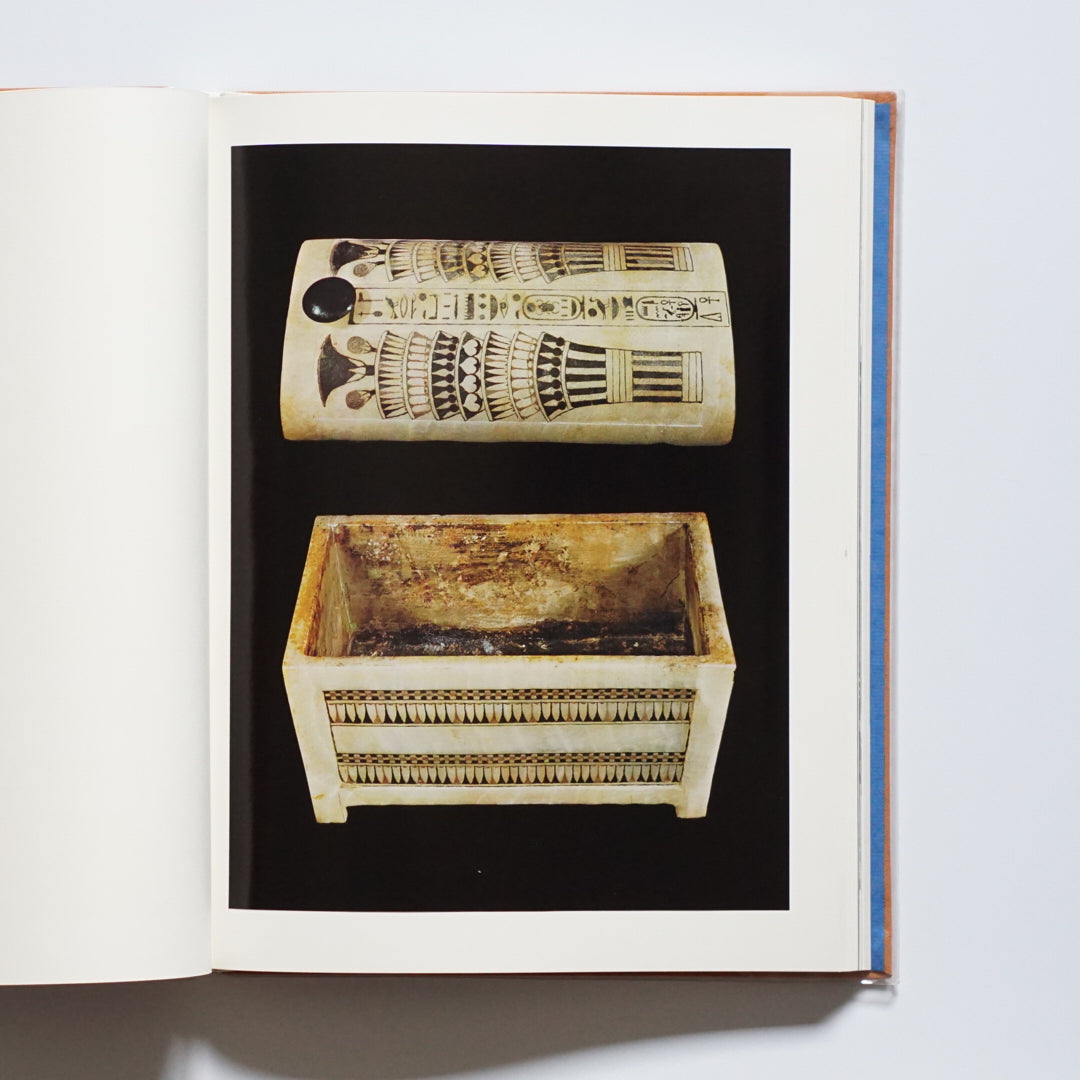 ツタンカーメン kokiriyama