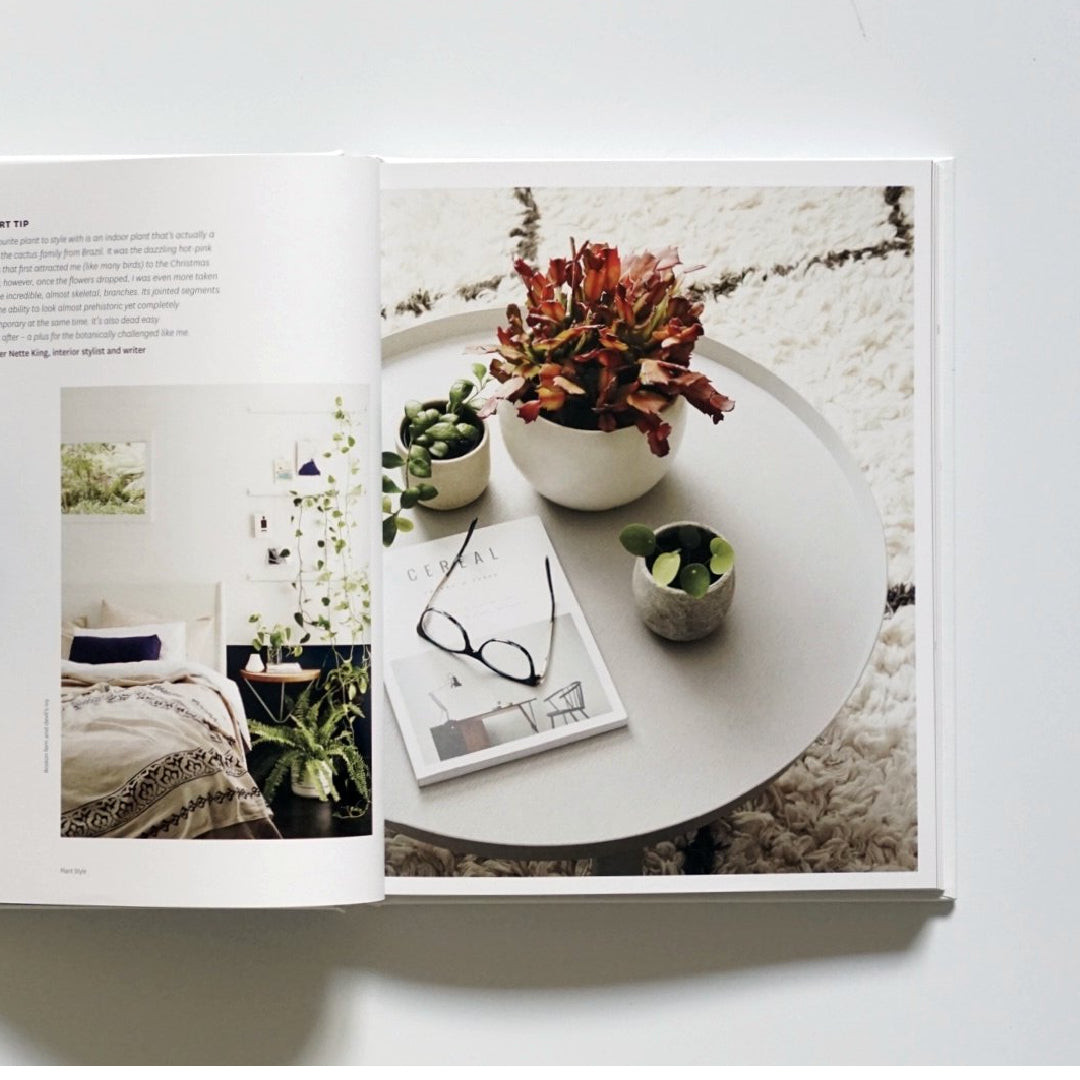 Plant Style: How to greenify your space kokiriyama