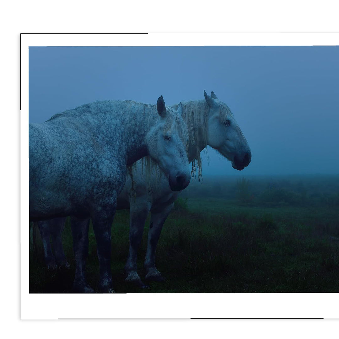 「新刊」 The Horses of Yururi Island ユルリ島の馬 Atsushi Okada kokiriyama