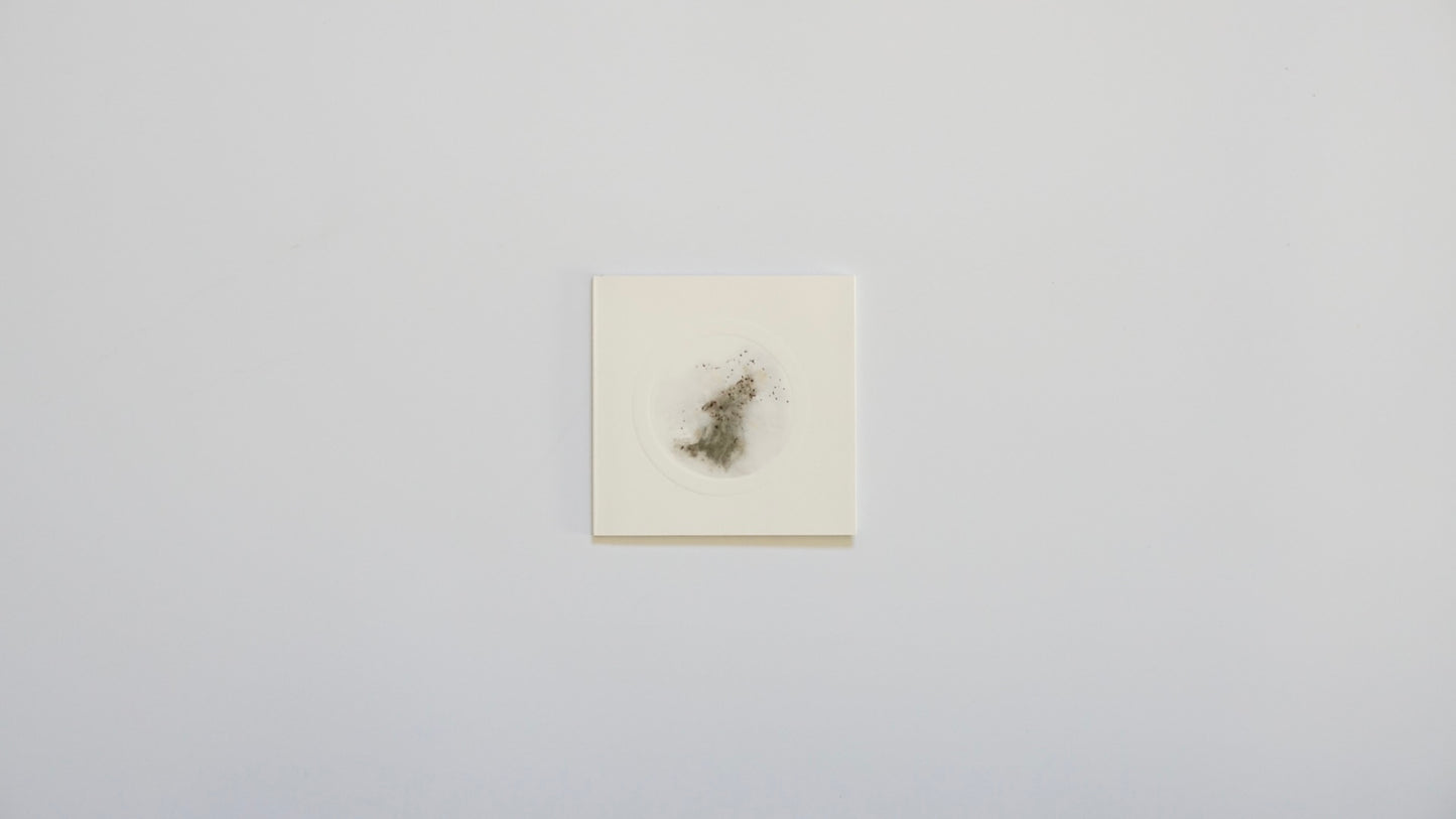 CAI GUO-QIANG | HEAD ON DEUTSCHE BANK COLLECTION kokiriyama