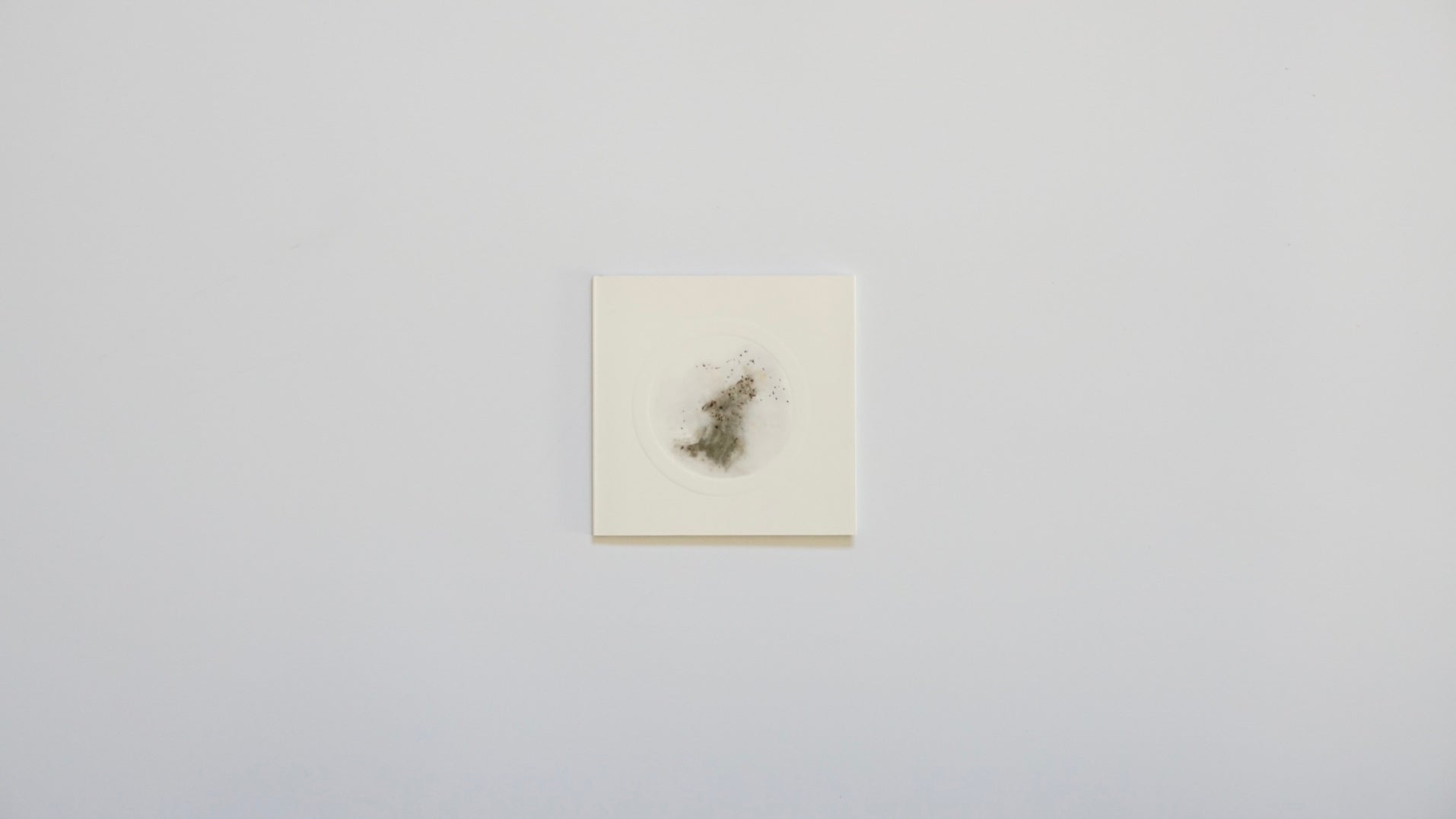 CAI GUO-QIANG | HEAD ON DEUTSCHE BANK COLLECTION kokiriyama