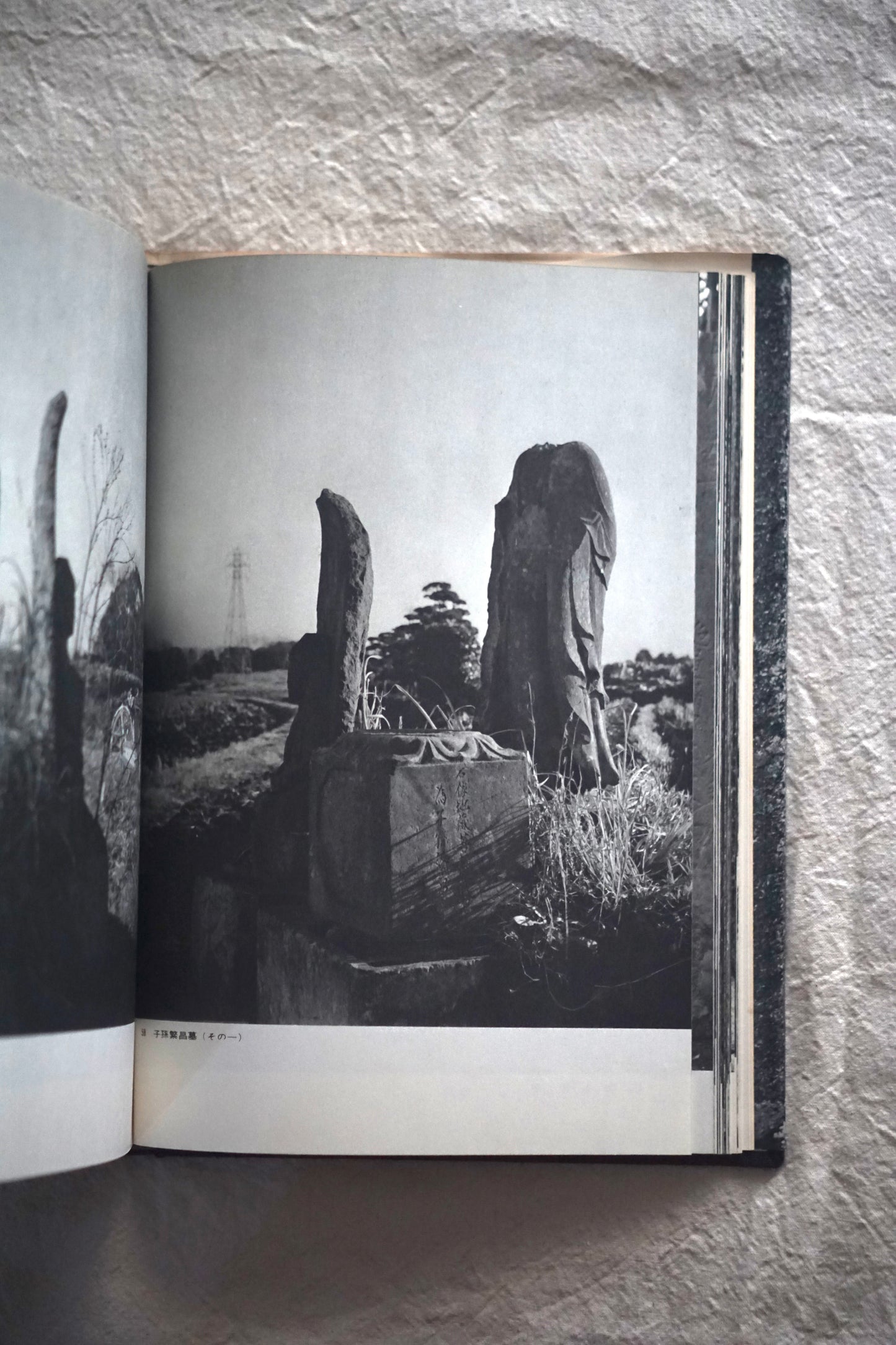 野の佛 Buddha of the Field kokiriyama