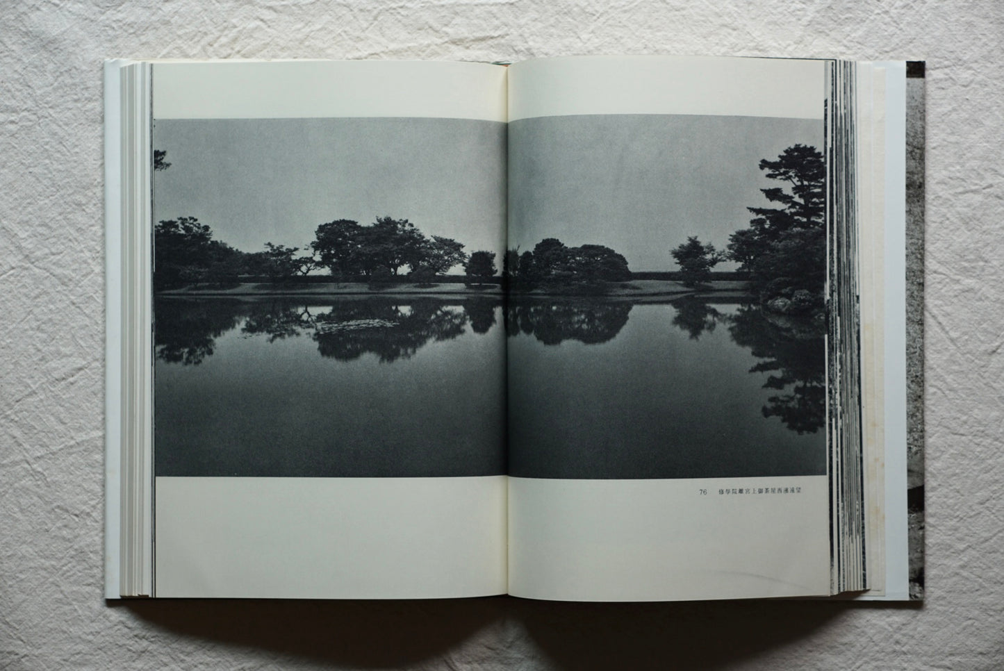 日本の庭 kokiriyama