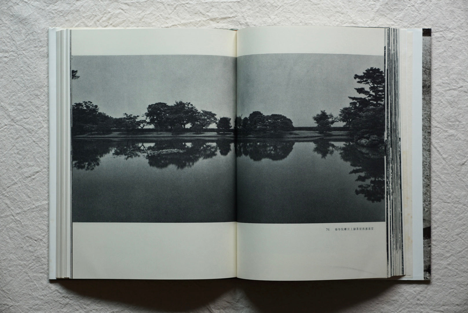 日本の庭 kokiriyama