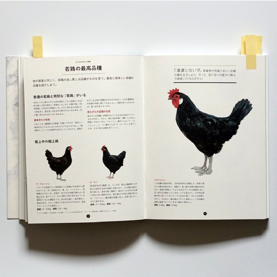 フランス式おいしい肉の教科書 kokiriyama