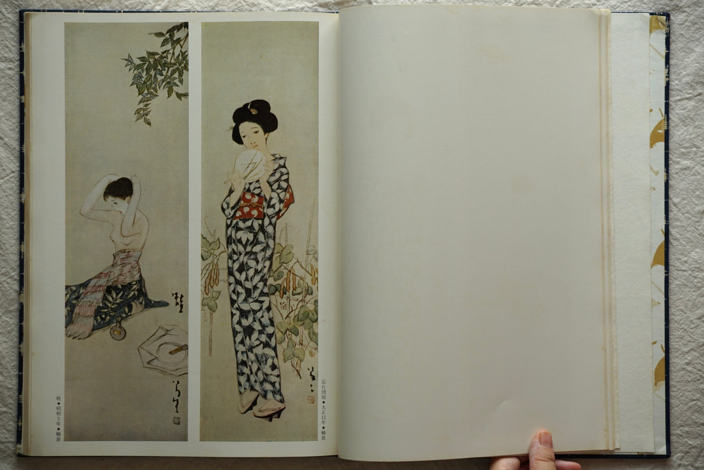 宵待草 竹久夢二画集 豪華普及版 Evening Grass: Yumeji Takehisa kokiriyama