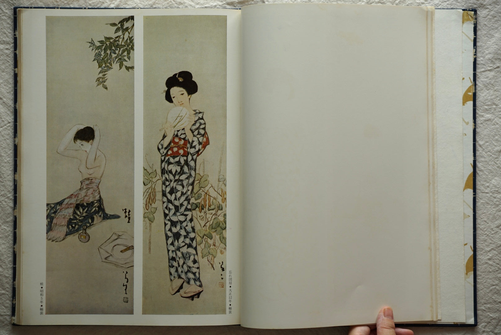 宵待草 竹久夢二画集 豪華普及版 Evening Grass: Yumeji Takehisa kokiriyama