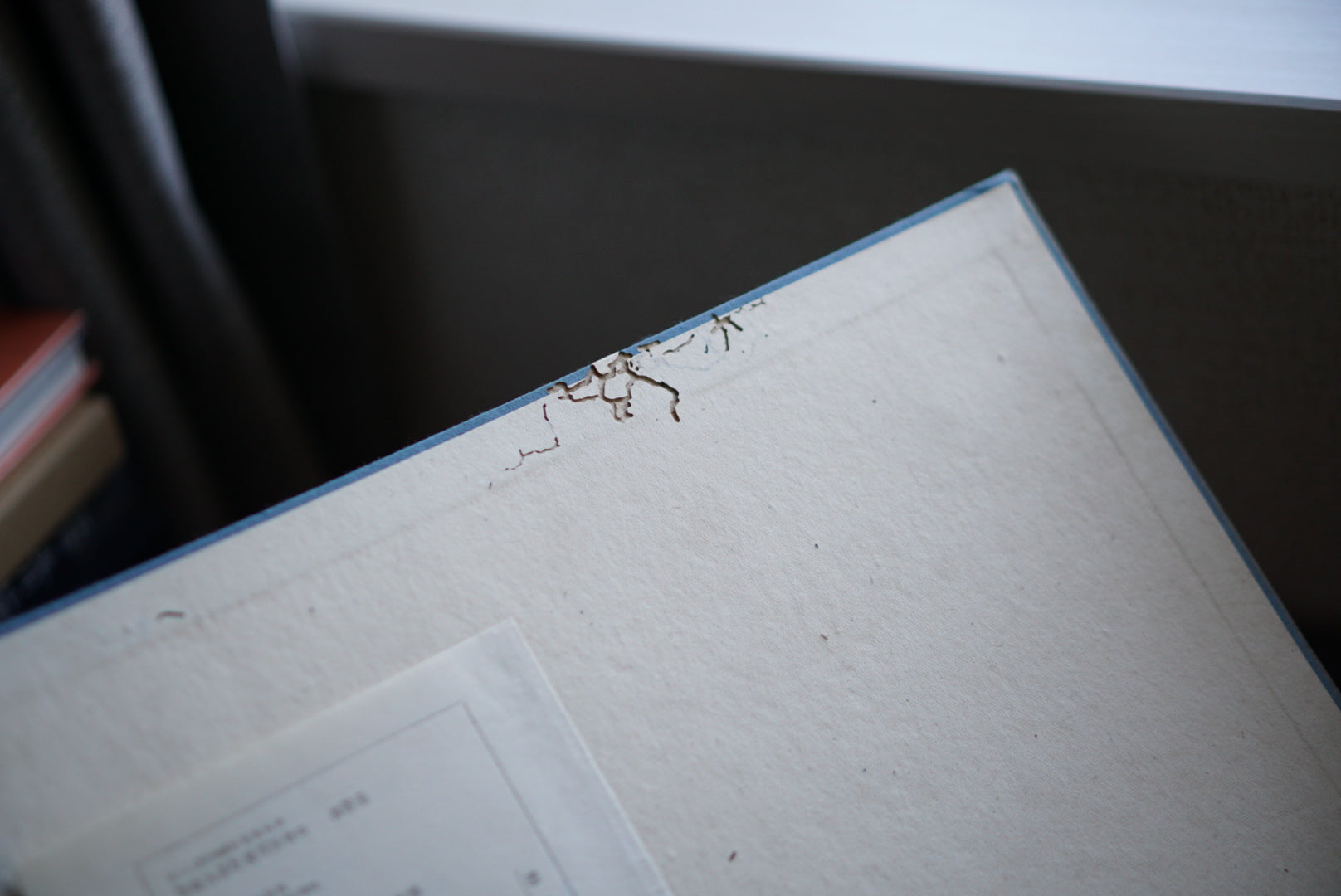 形物香合 図鑑篇・説文篇 二冊帙入 incense containers kokiriyama