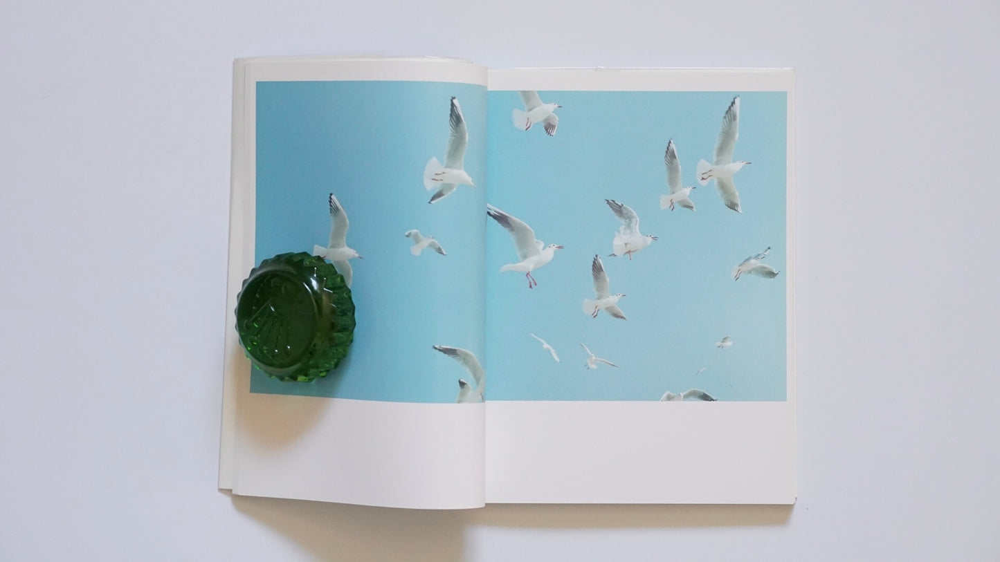 うたたね 川内倫子写真集 Utatane: A Photo Collection by Rinko Kawauchi kokiriyama