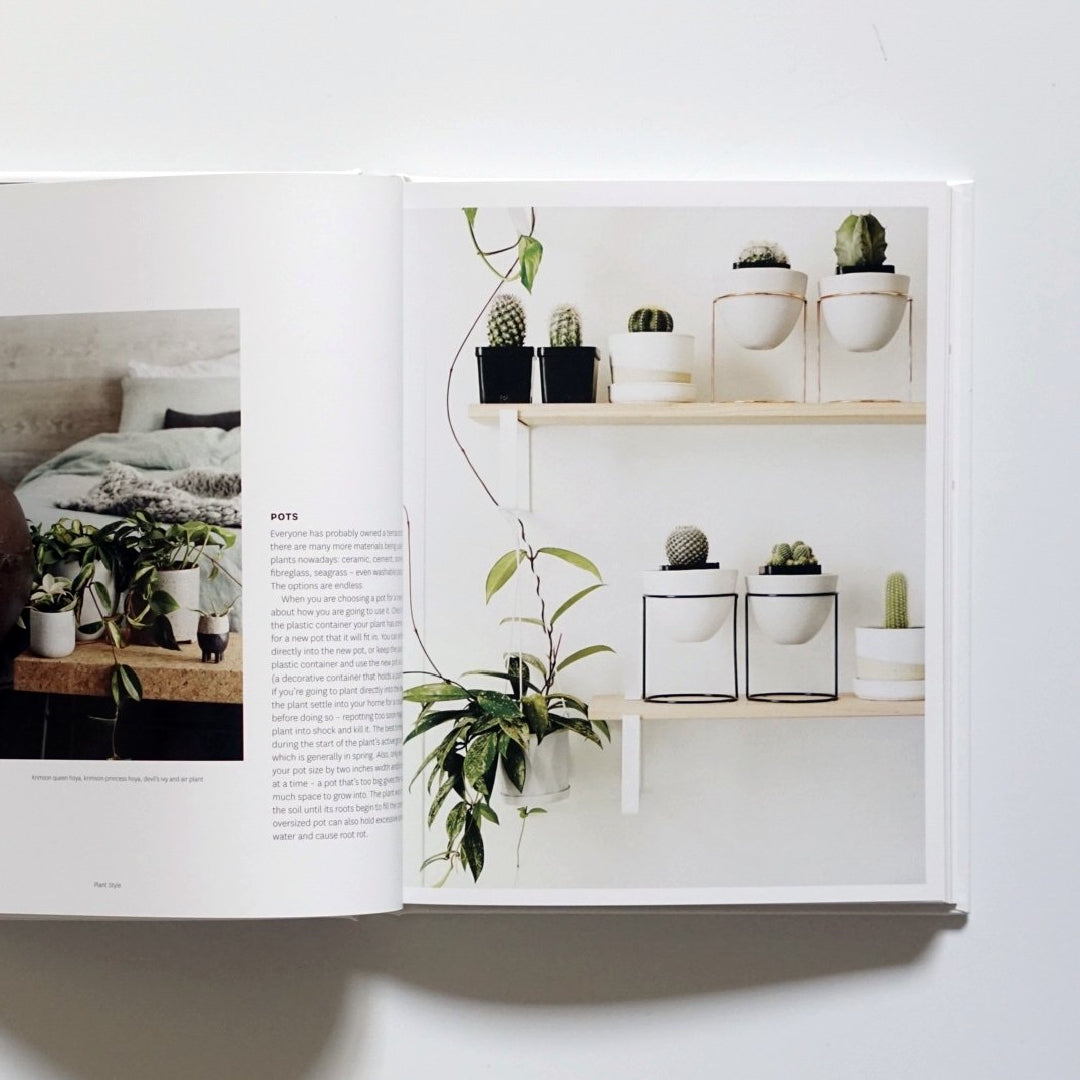 Plant Style: How to greenify your space kokiriyama