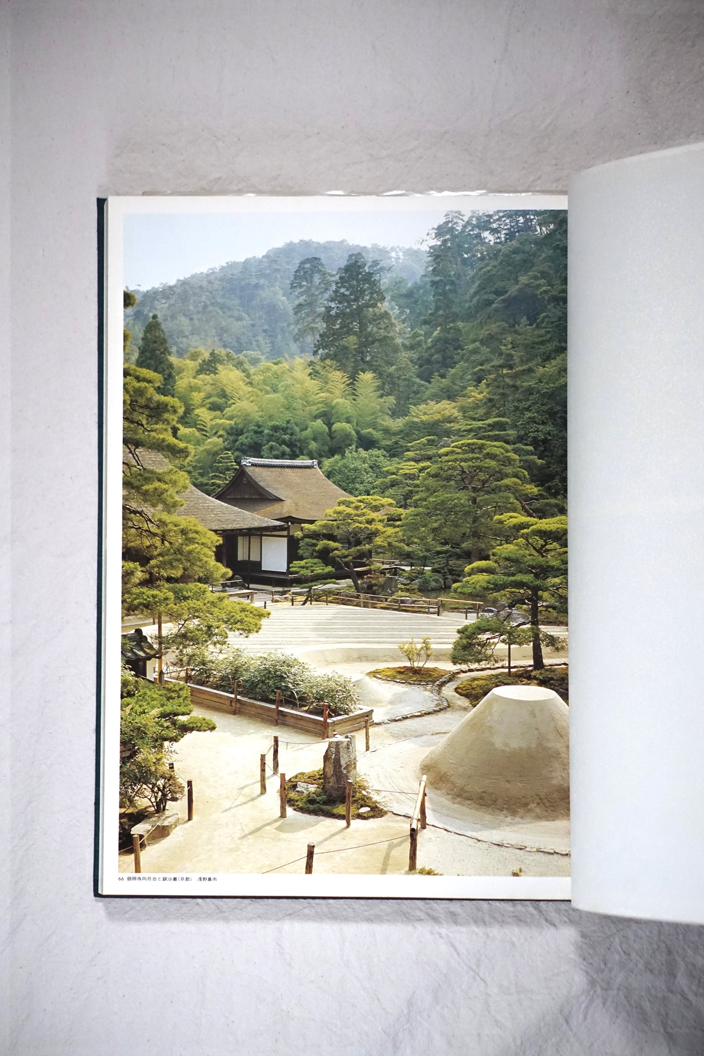 日本の庭 全2冊揃 Japanese garden kokiriyama