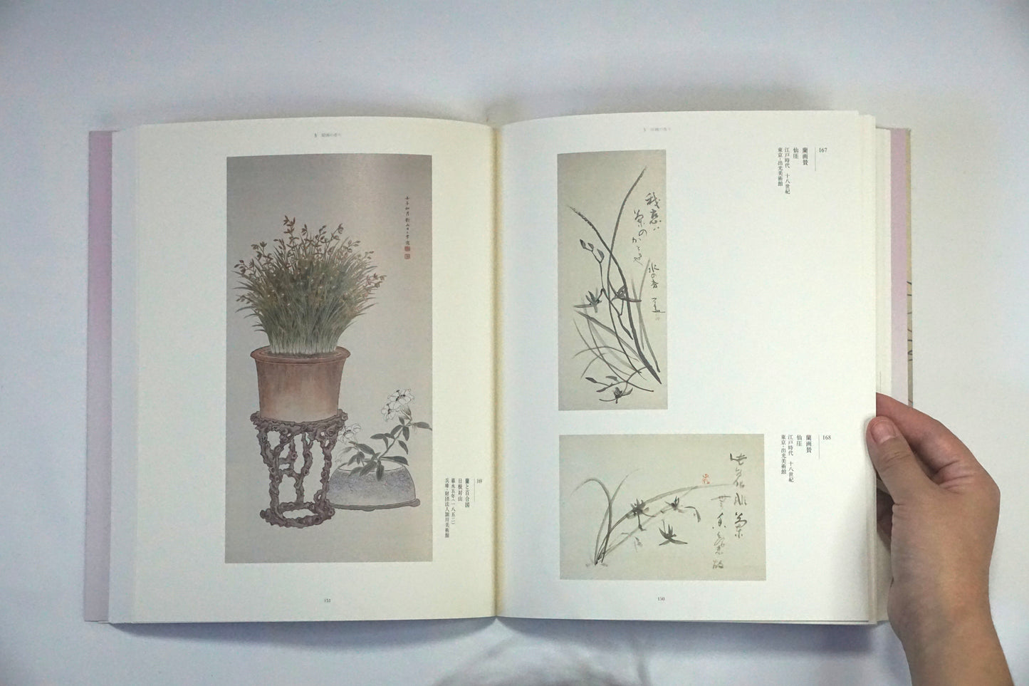 香り かぐわしき名宝 Fragrance Famous Treasure kokiriyama