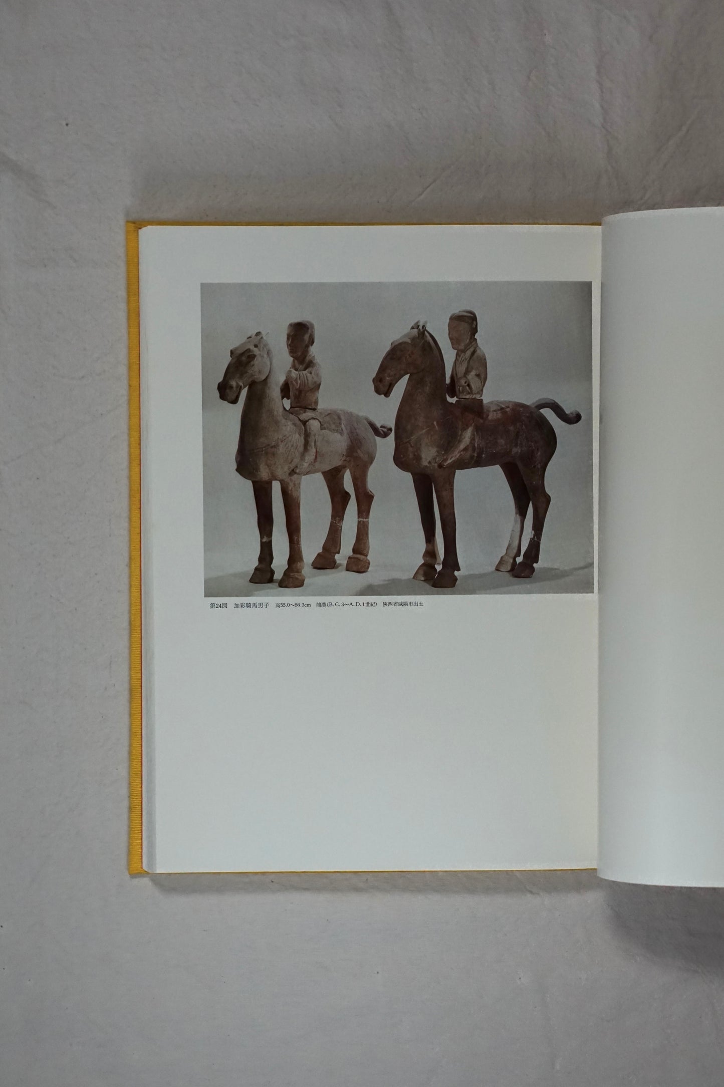 中国の陶磁 新出土の名品 (限定780部)Newly excavated masterpieces of Chinese ceramics kokiriyama