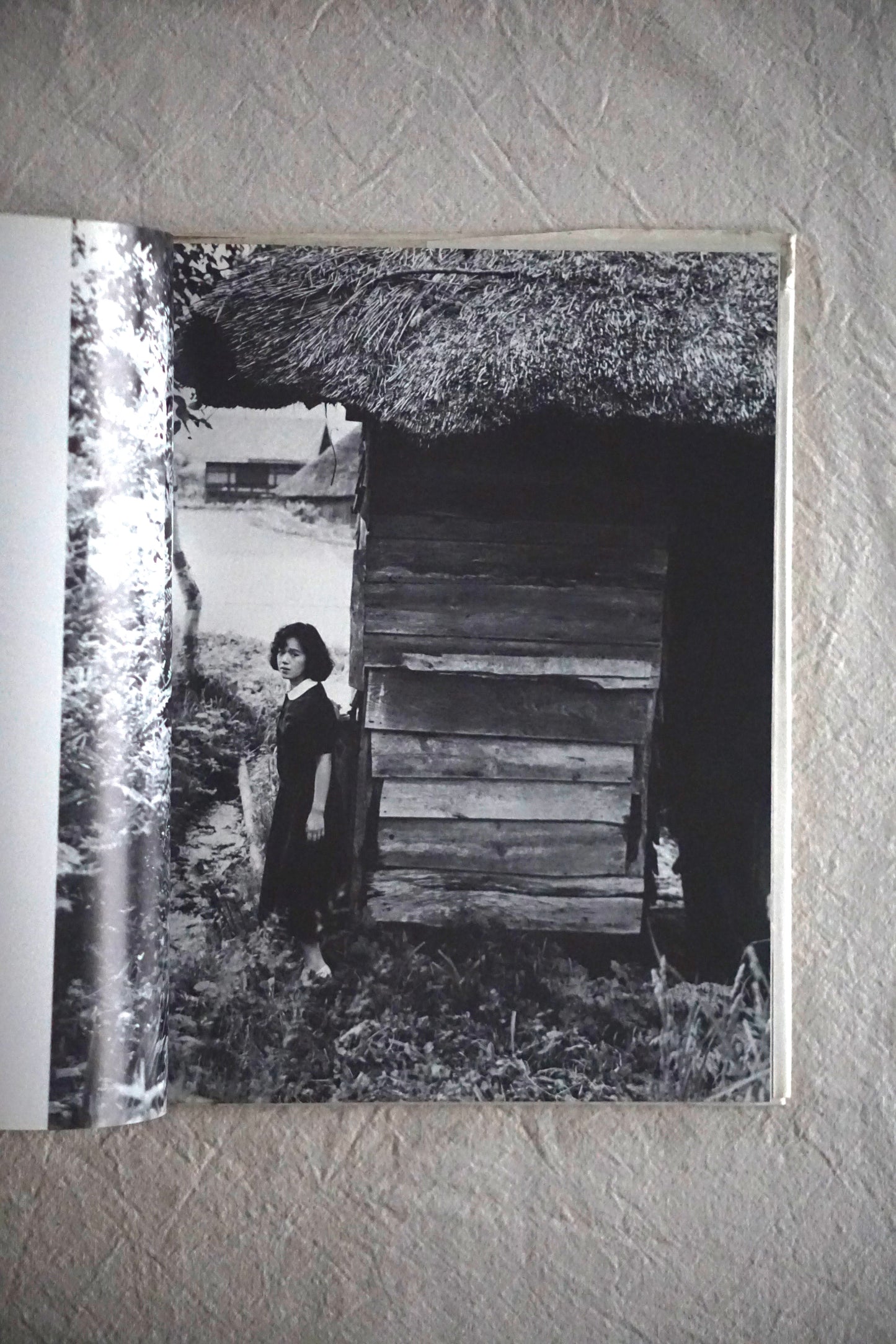 light of the dark kishin shinoyama+shinobu otake kokiriyama