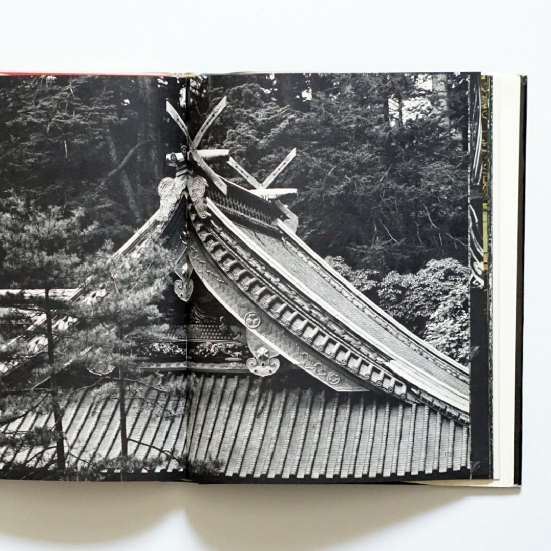 東照宮 Toshogu Takeji Iwamiya kokiriyama