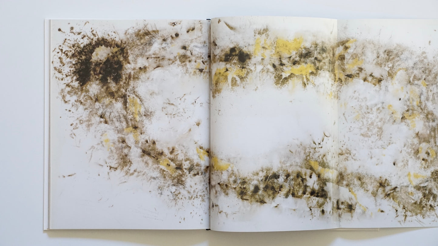 CAI GUO-QIANG | HEAD ON DEUTSCHE BANK COLLECTION kokiriyama