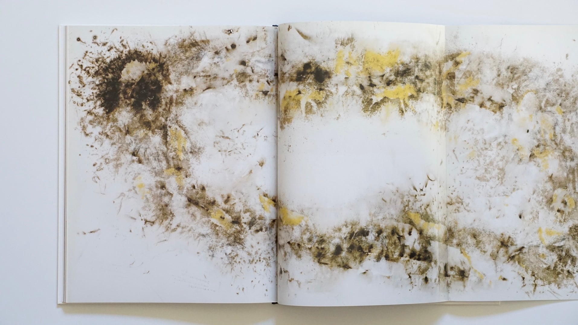 CAI GUO-QIANG | HEAD ON DEUTSCHE BANK COLLECTION kokiriyama