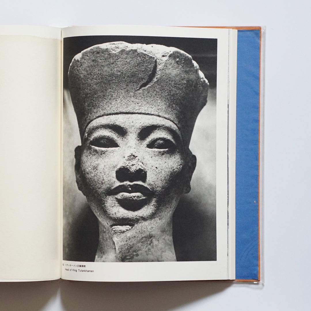 ツタンカーメン kokiriyama