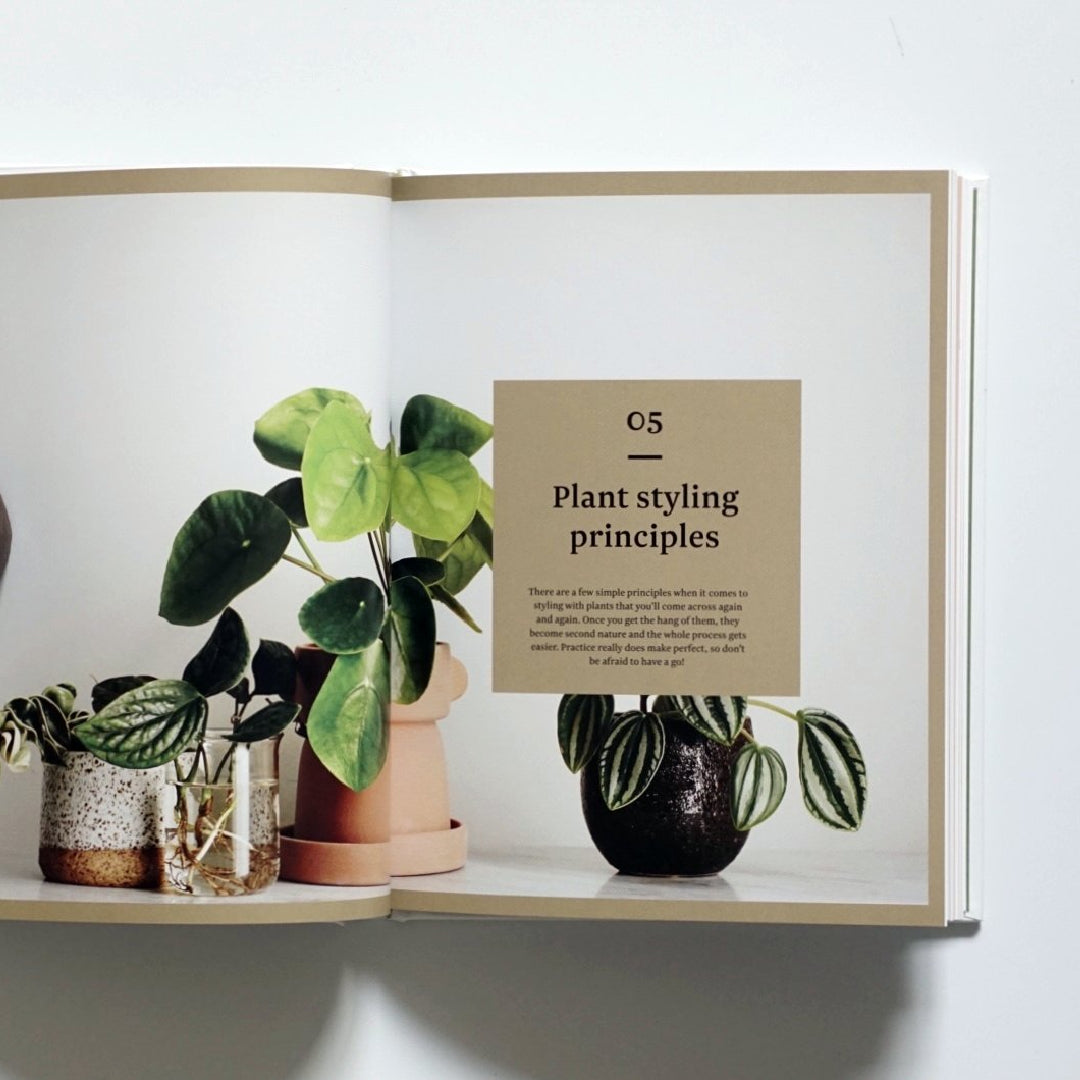 Plant Style: How to greenify your space kokiriyama