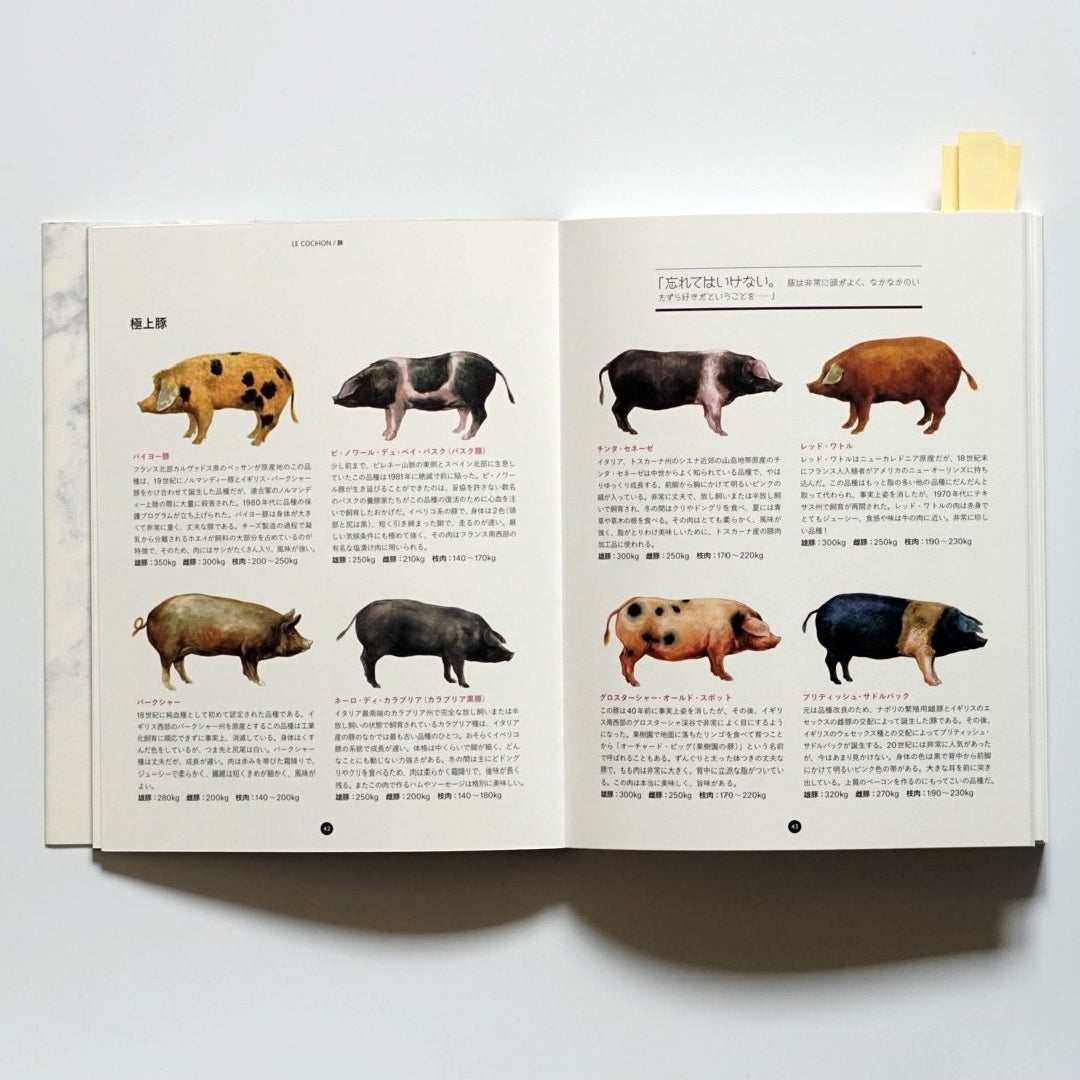 フランス式おいしい肉の教科書 kokiriyama