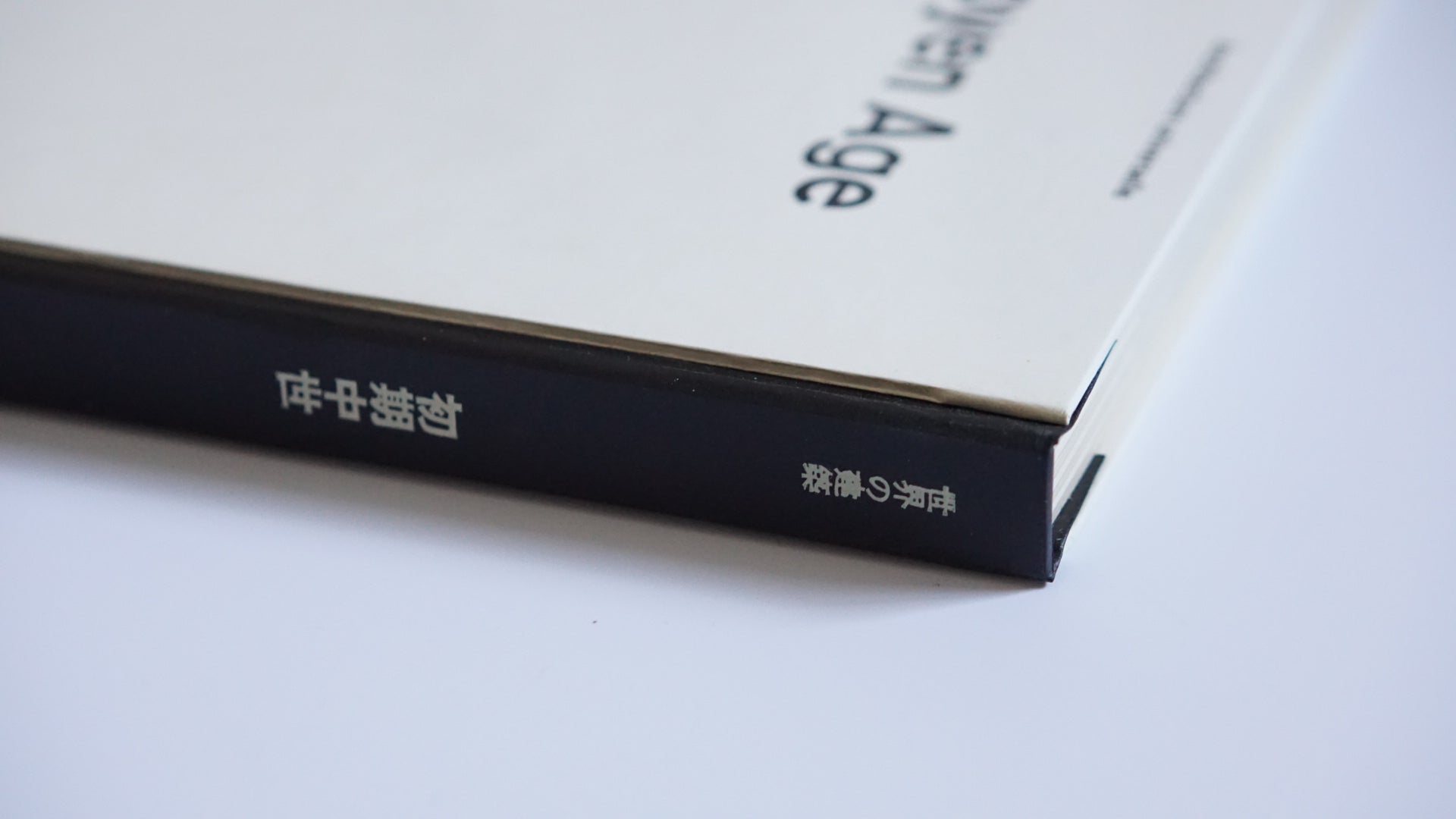 世界の建筑 初期中世 World Architecture: Early Middle Ages kokiriyama