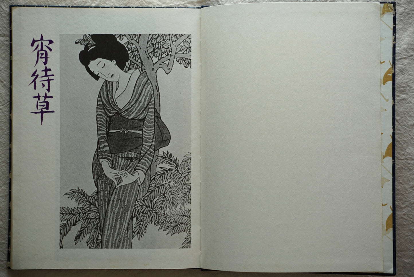 宵待草 竹久夢二画集 豪華普及版 Evening Grass: Yumeji Takehisa kokiriyama