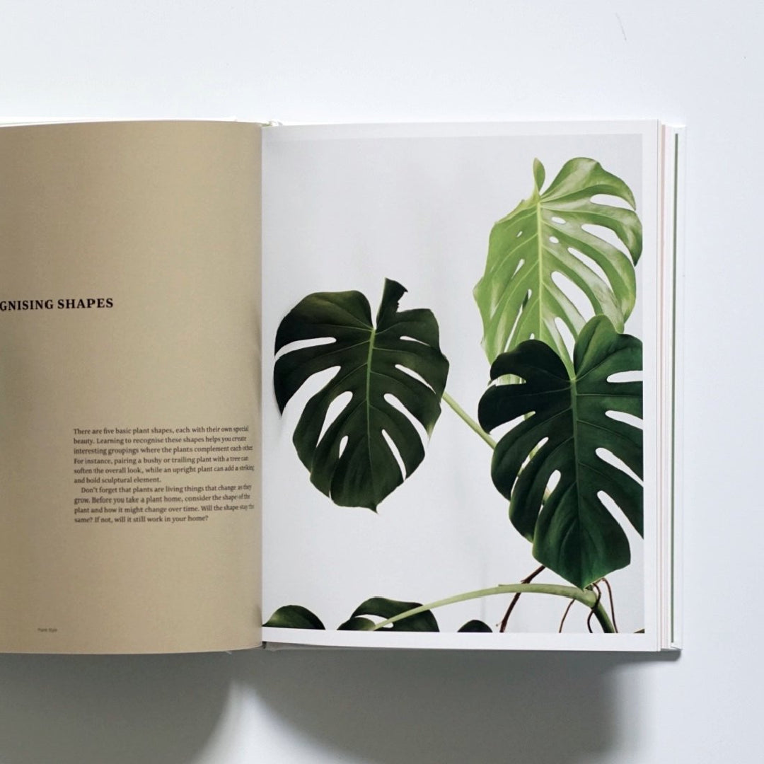Plant Style: How to greenify your space kokiriyama