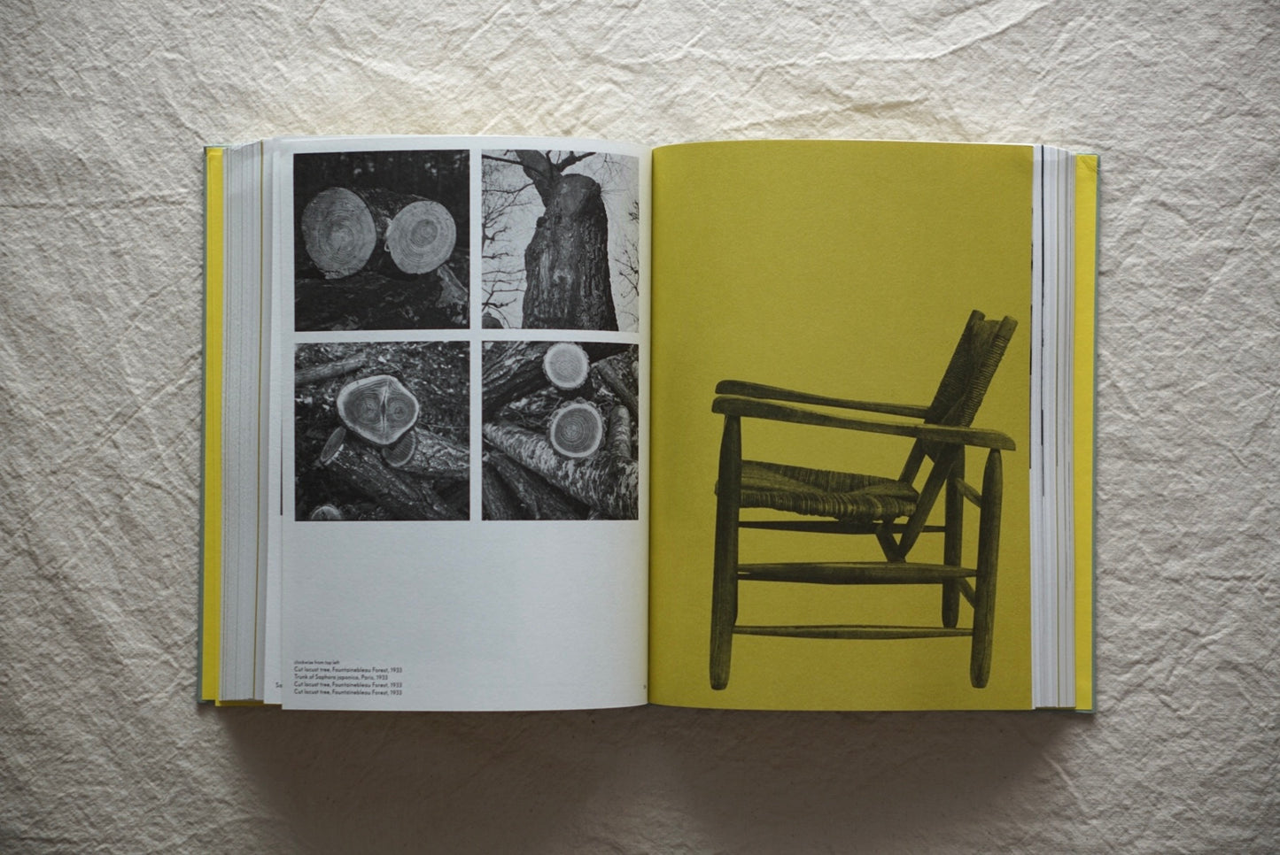 シャーロット・ペリアン Charlotte Perriand: The Modern Life kokiriyama
