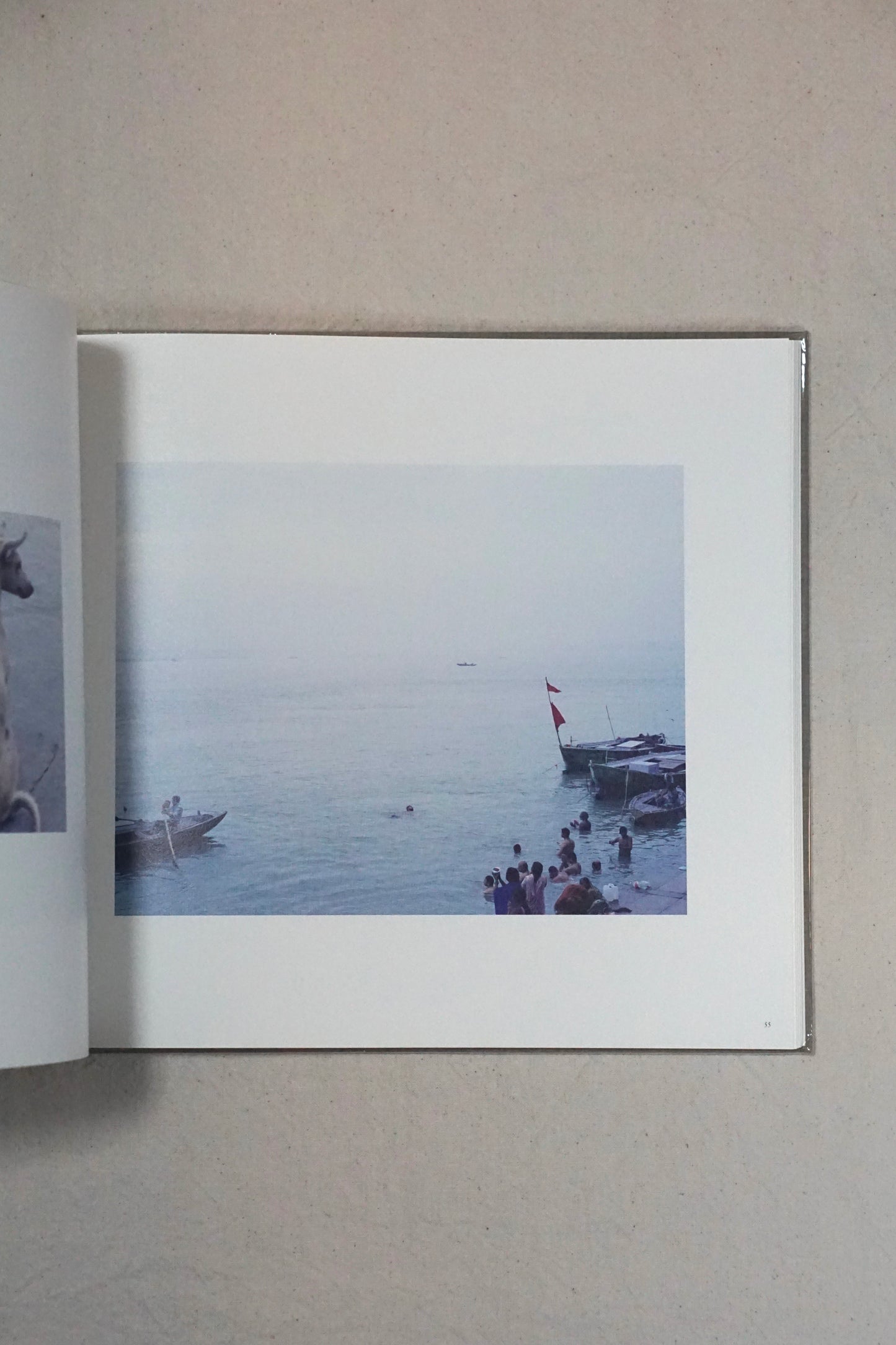上田義彥 M.Ganges Yoshihiko Ueda kokiriyama