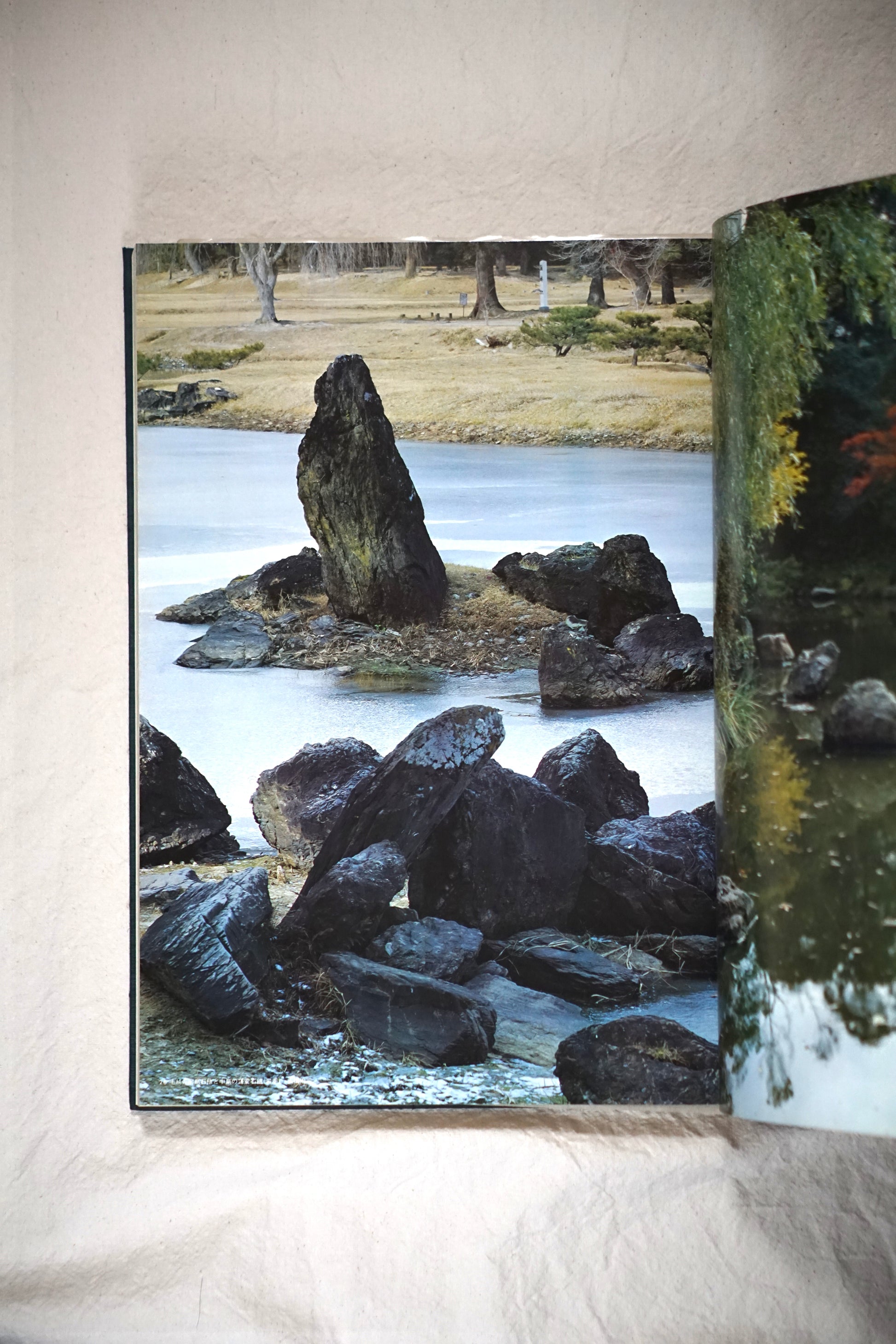 日本の庭 全2冊揃 Japanese garden kokiriyama