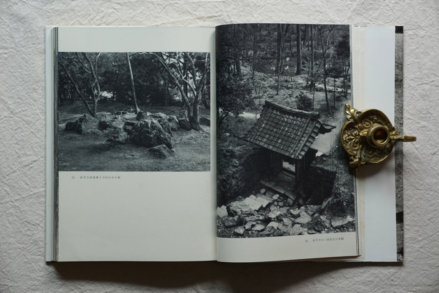 日本の庭 kokiriyama