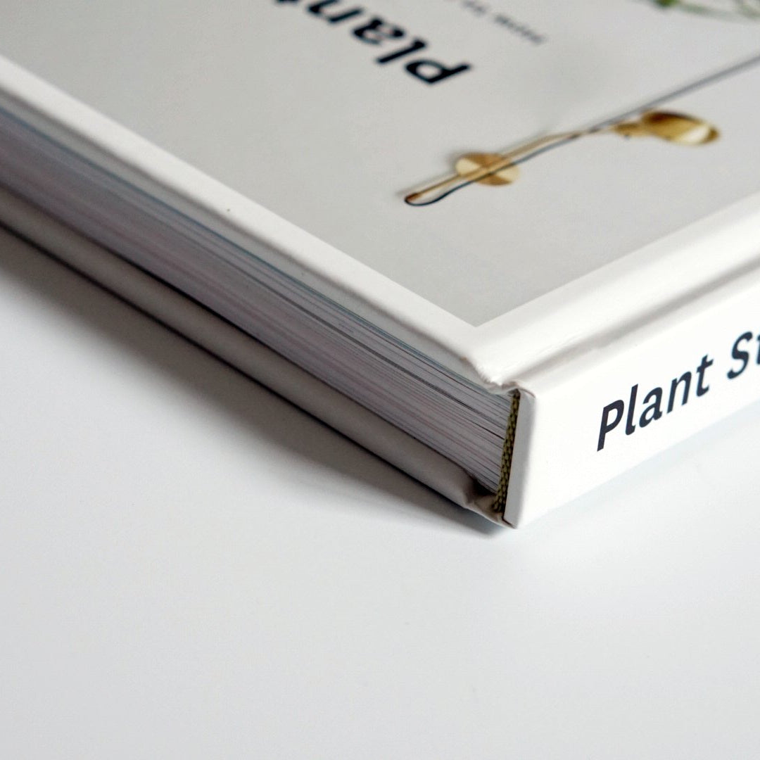 Plant Style: How to greenify your space kokiriyama