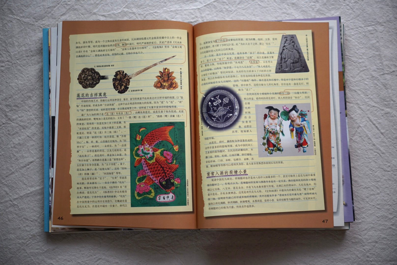 漢聲雜誌 中国水生植物:苏州水八仙 9册 kokiriyama