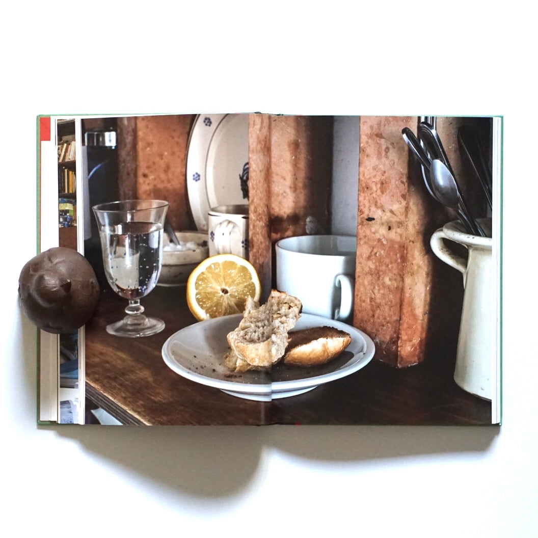 Take Me to Live with You: A Social Family Album kokiriyama