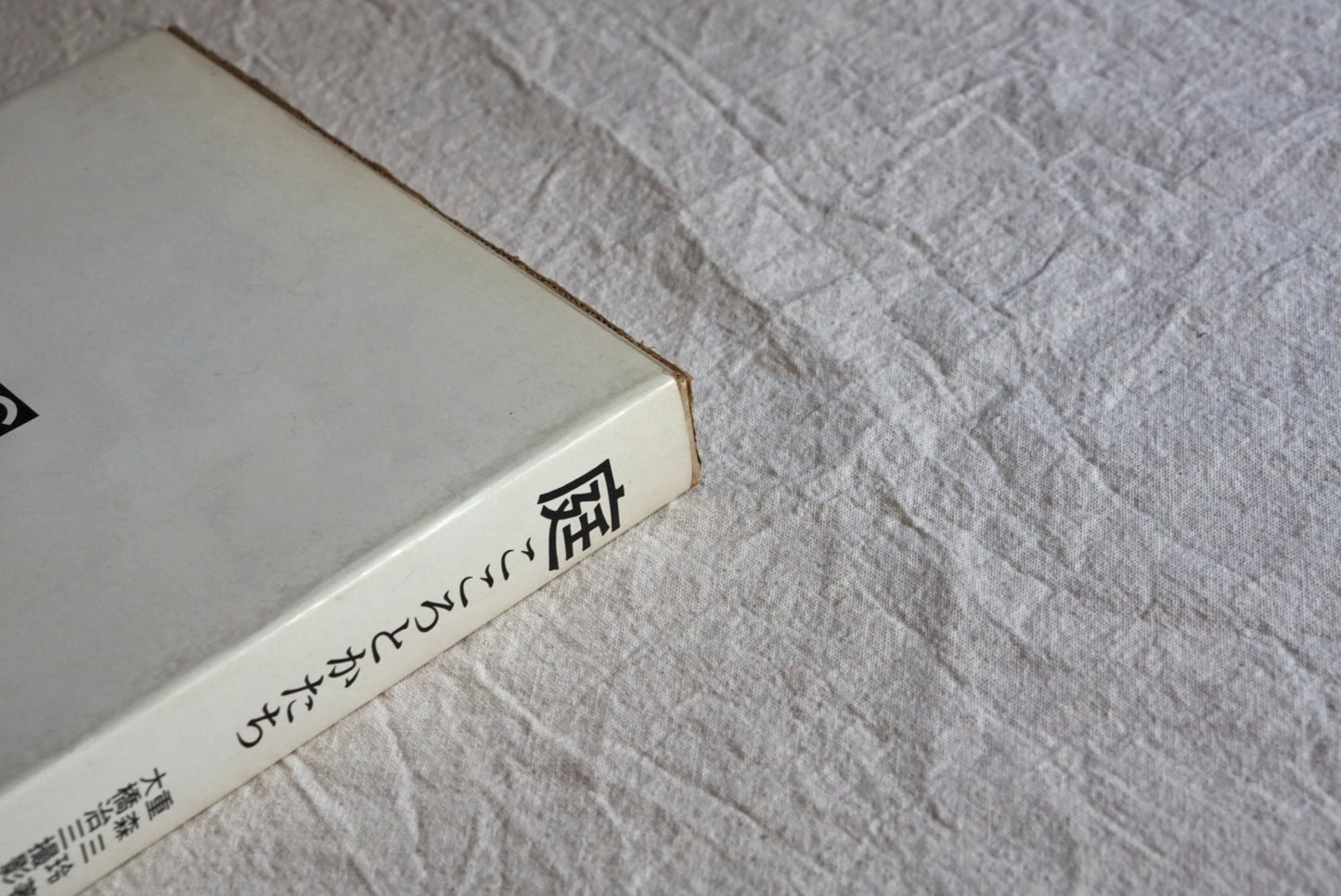 庭 こころとかたち Garden: Heart and Form kokiriyama