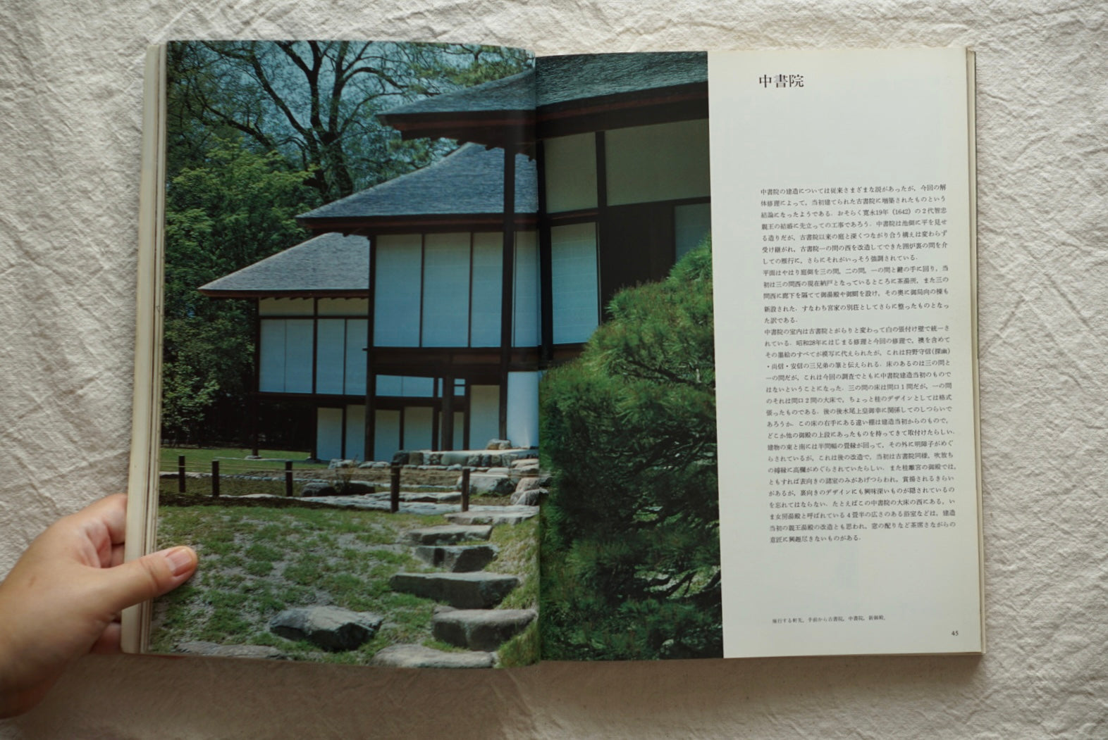 新建築1982 桂離宮(封底傷み) kokiriyama