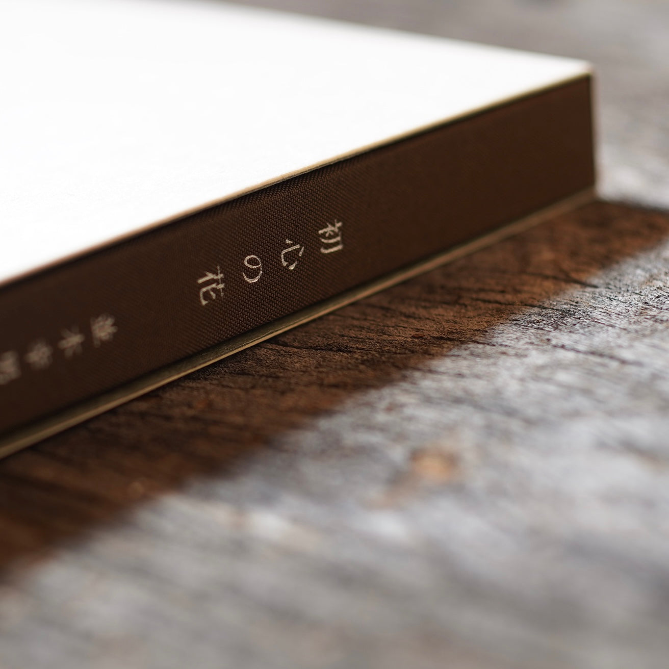 Flowers of a Beginner's Mind