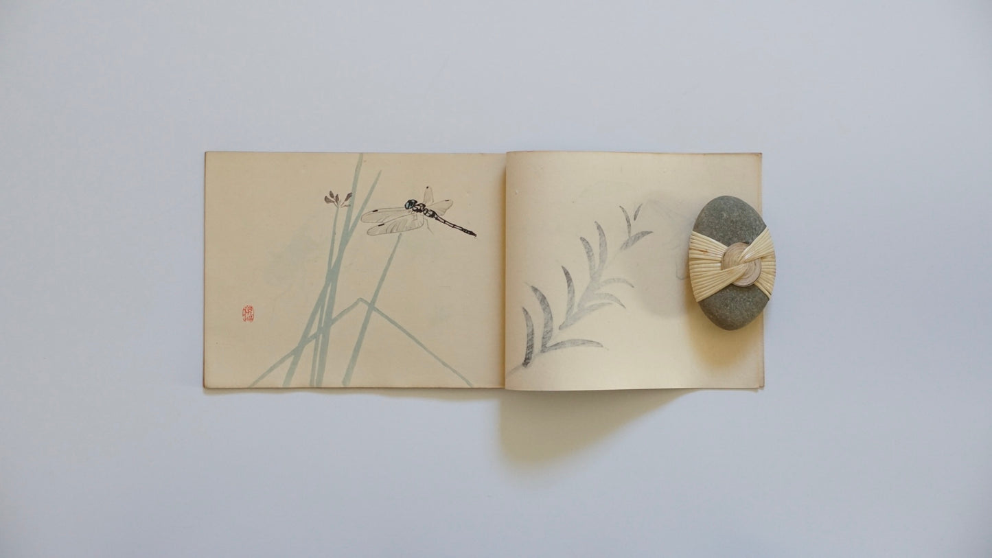 栖鳳習畫帖 全4冊 Seihō’s Painting Studies kokiriyama