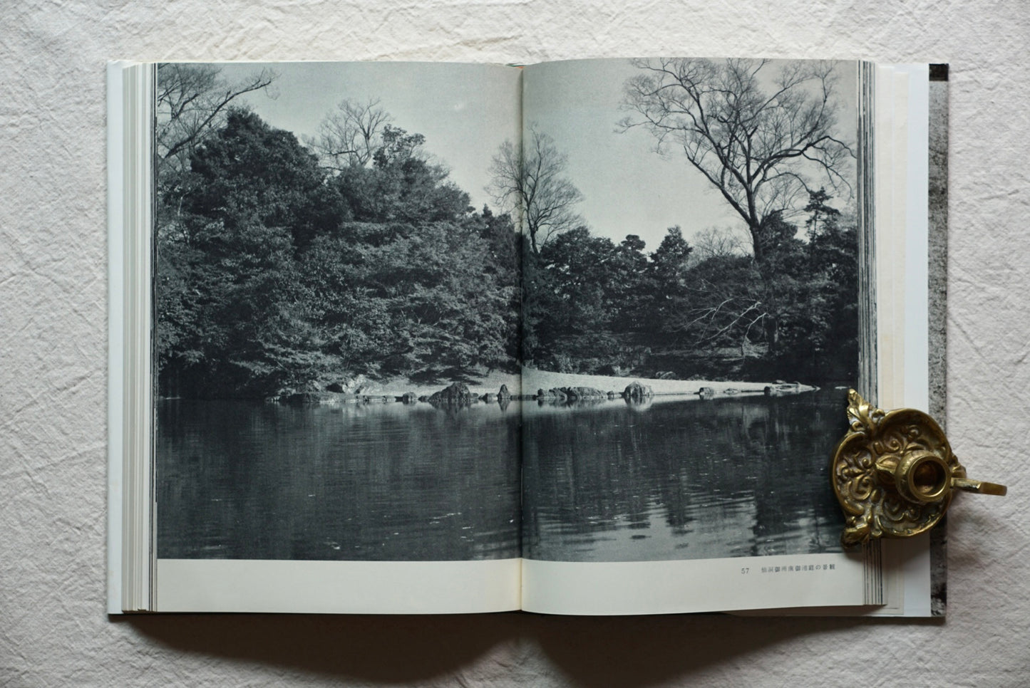 日本の庭 kokiriyama