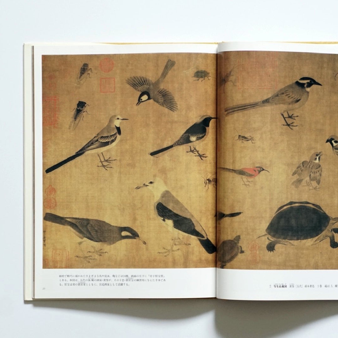 故宮博物院 1、2(南北朝~北宋の絵画、南宋の絵画)