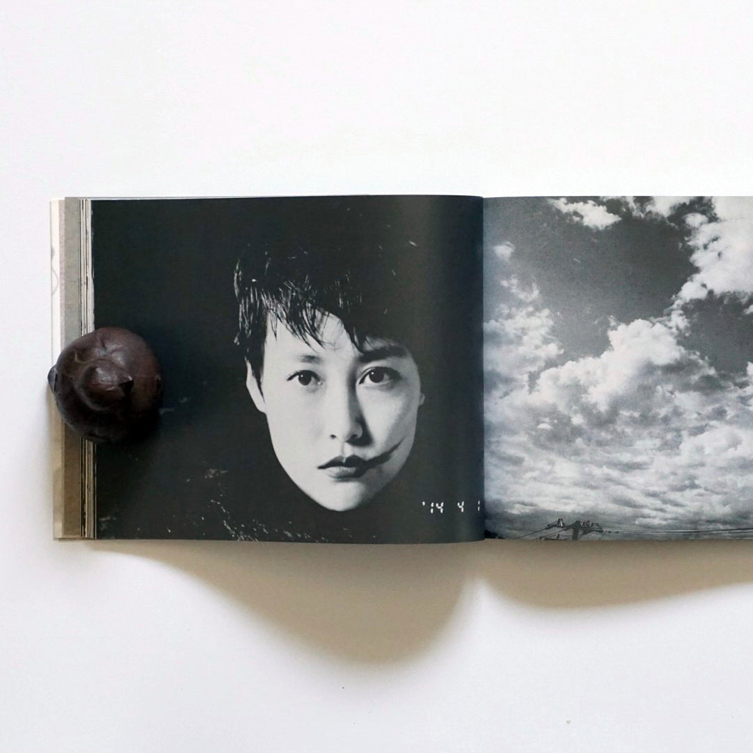 写狂老人日記 嘘 荒木經惟 Liar Araki Ayane kokiriyama