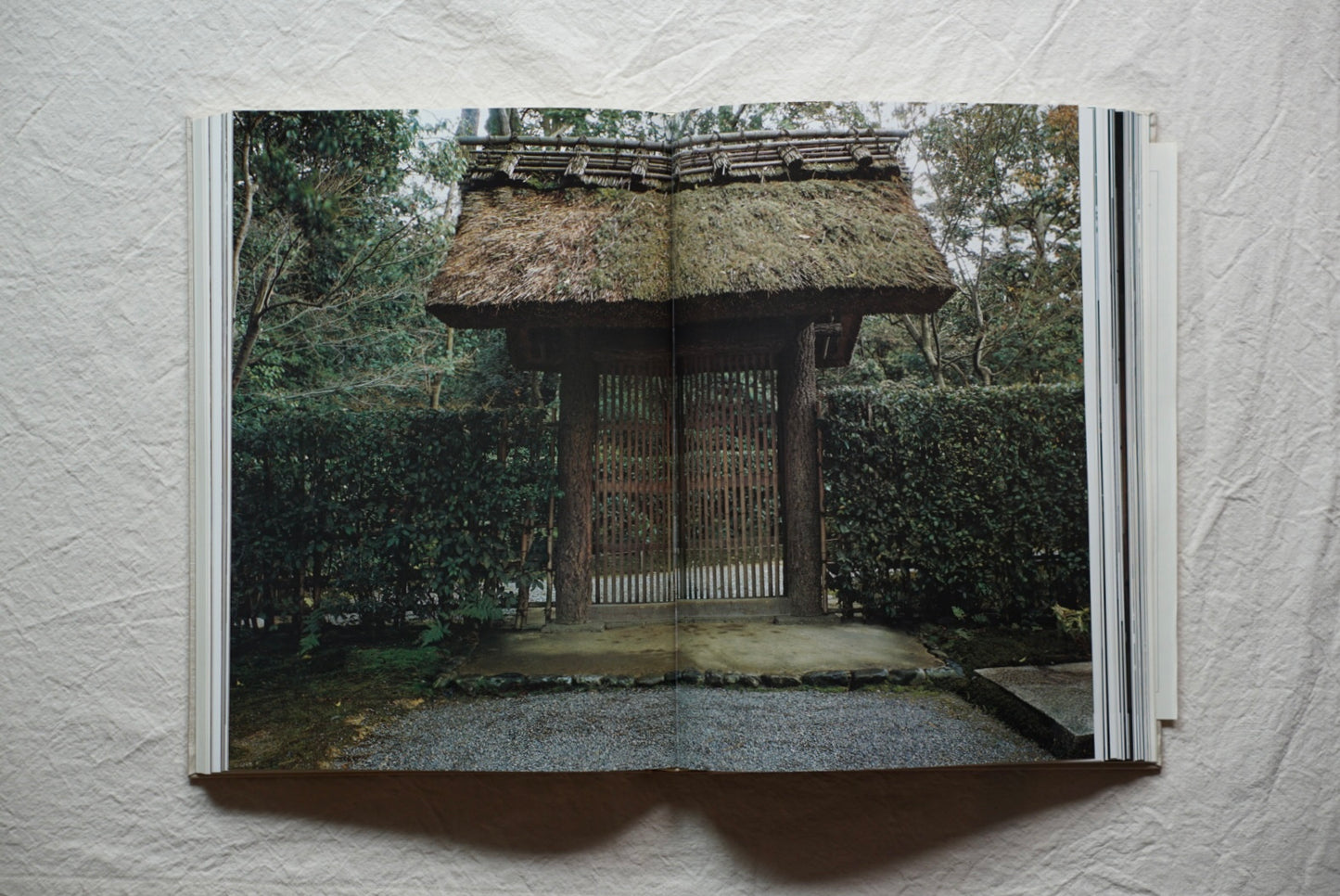桂離宮 每日新聞社 Katsura Imperial kokiriyama